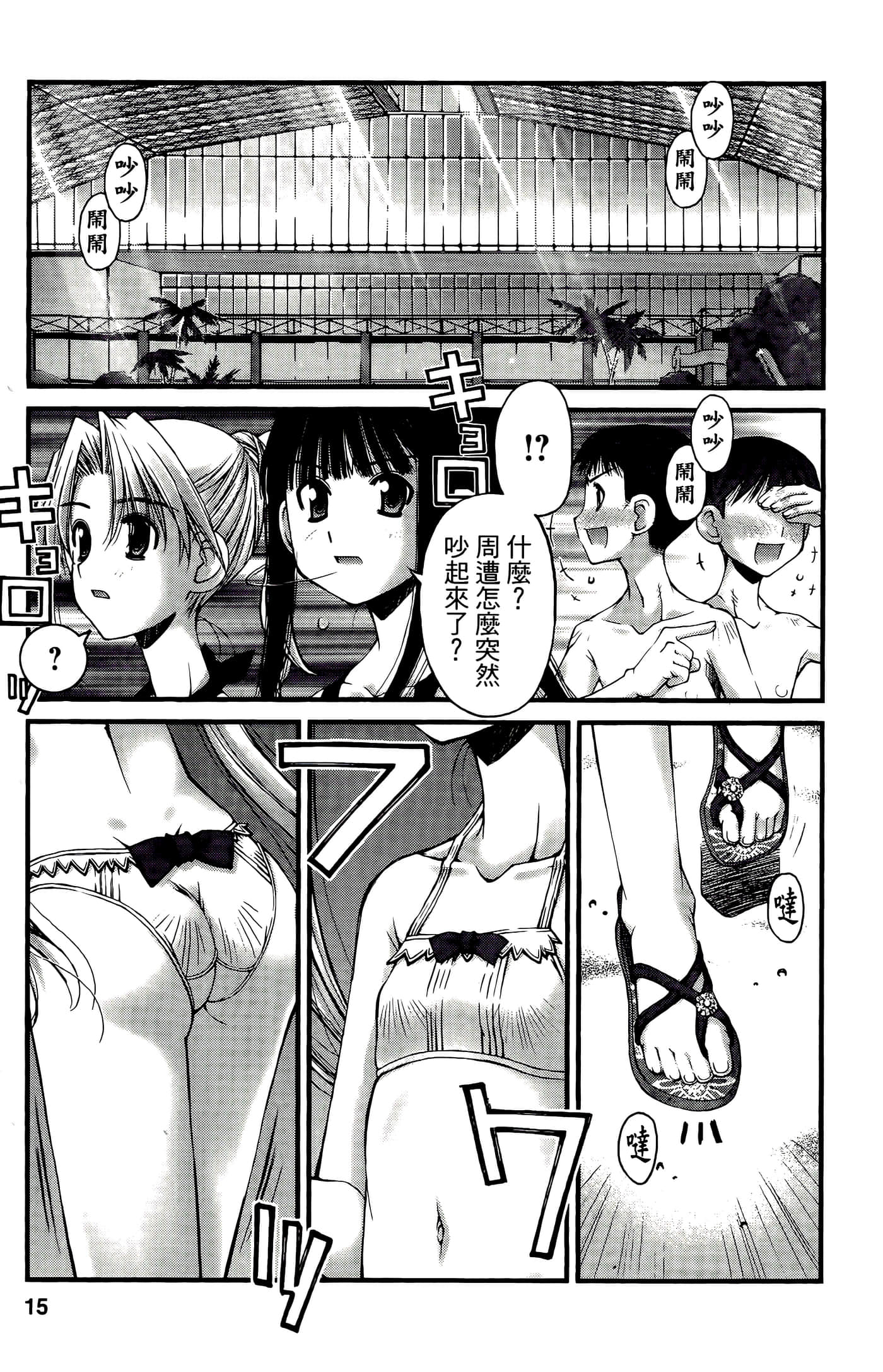 Page 15