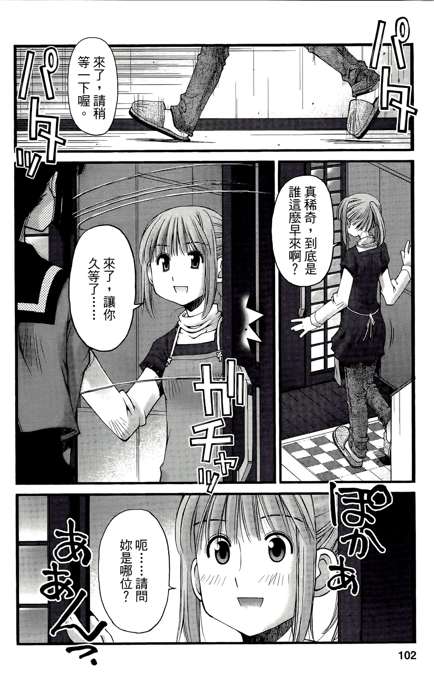 Page 102