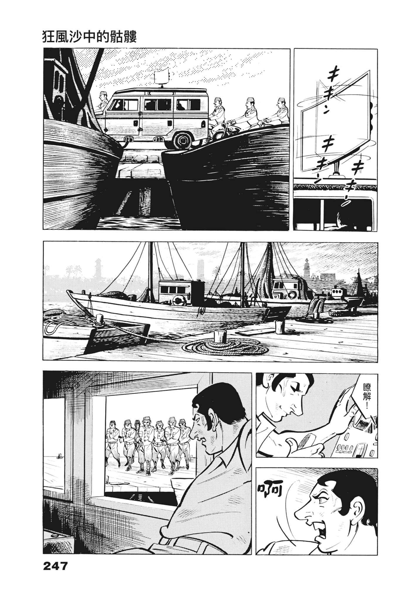 Page 251
