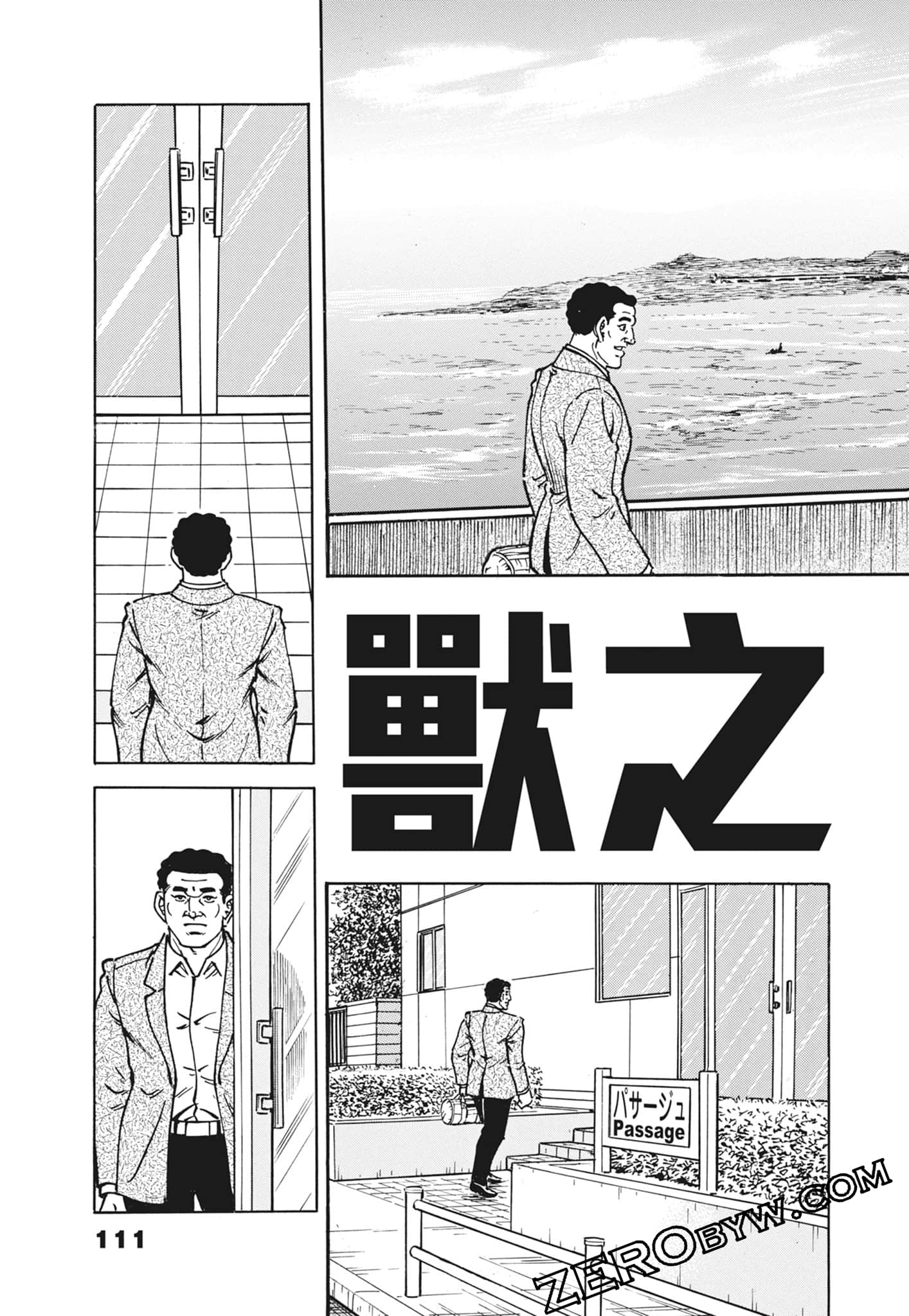 Page 111