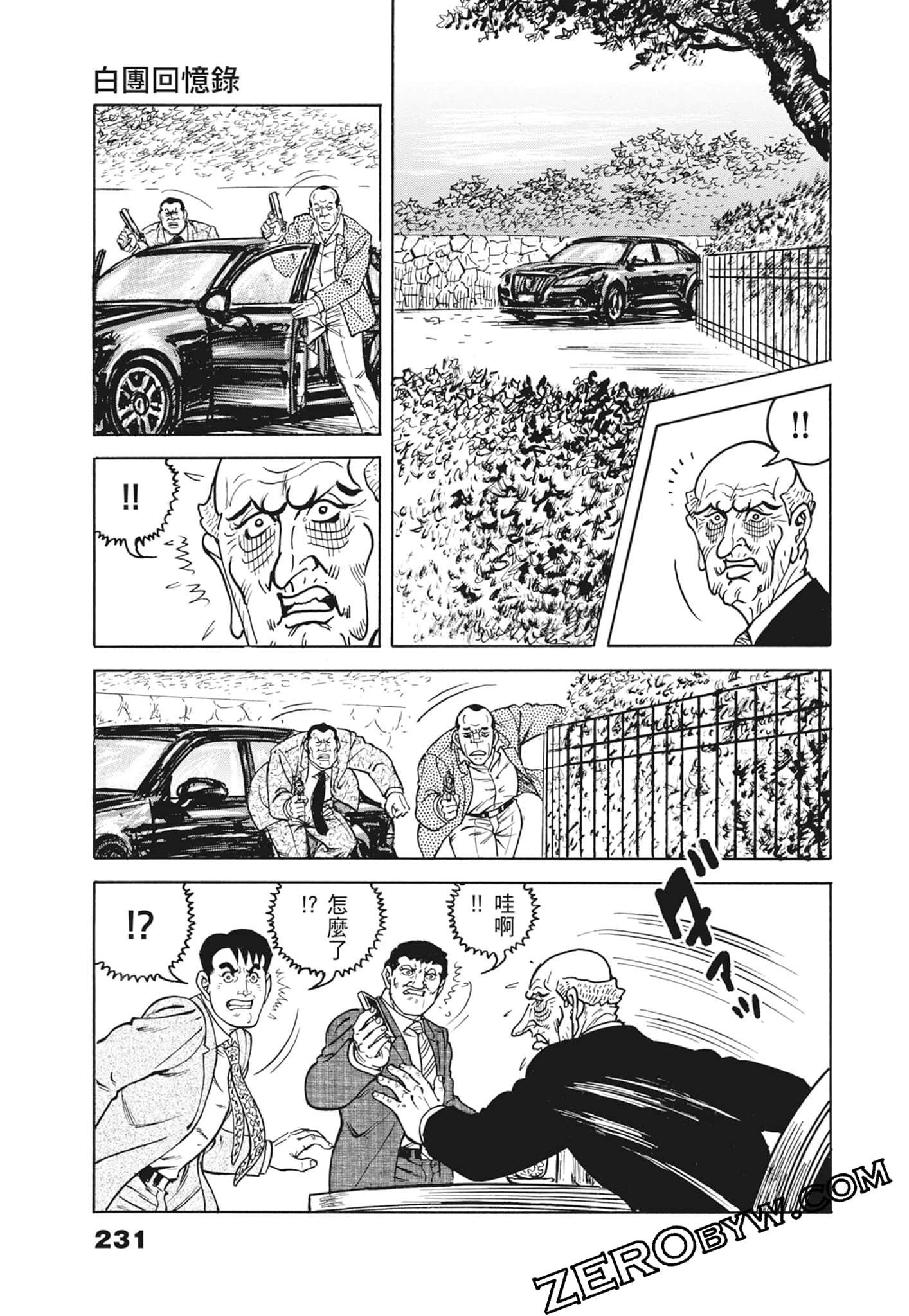 Page 231