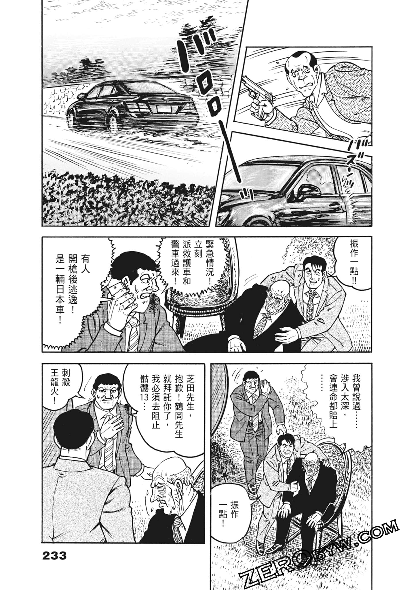 Page 233