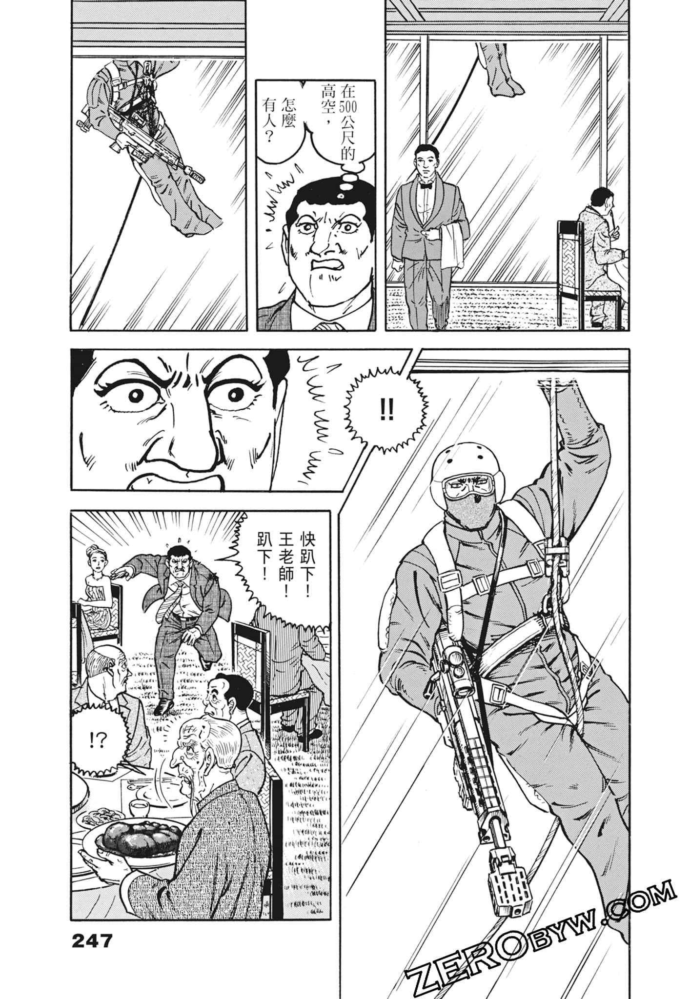 Page 247