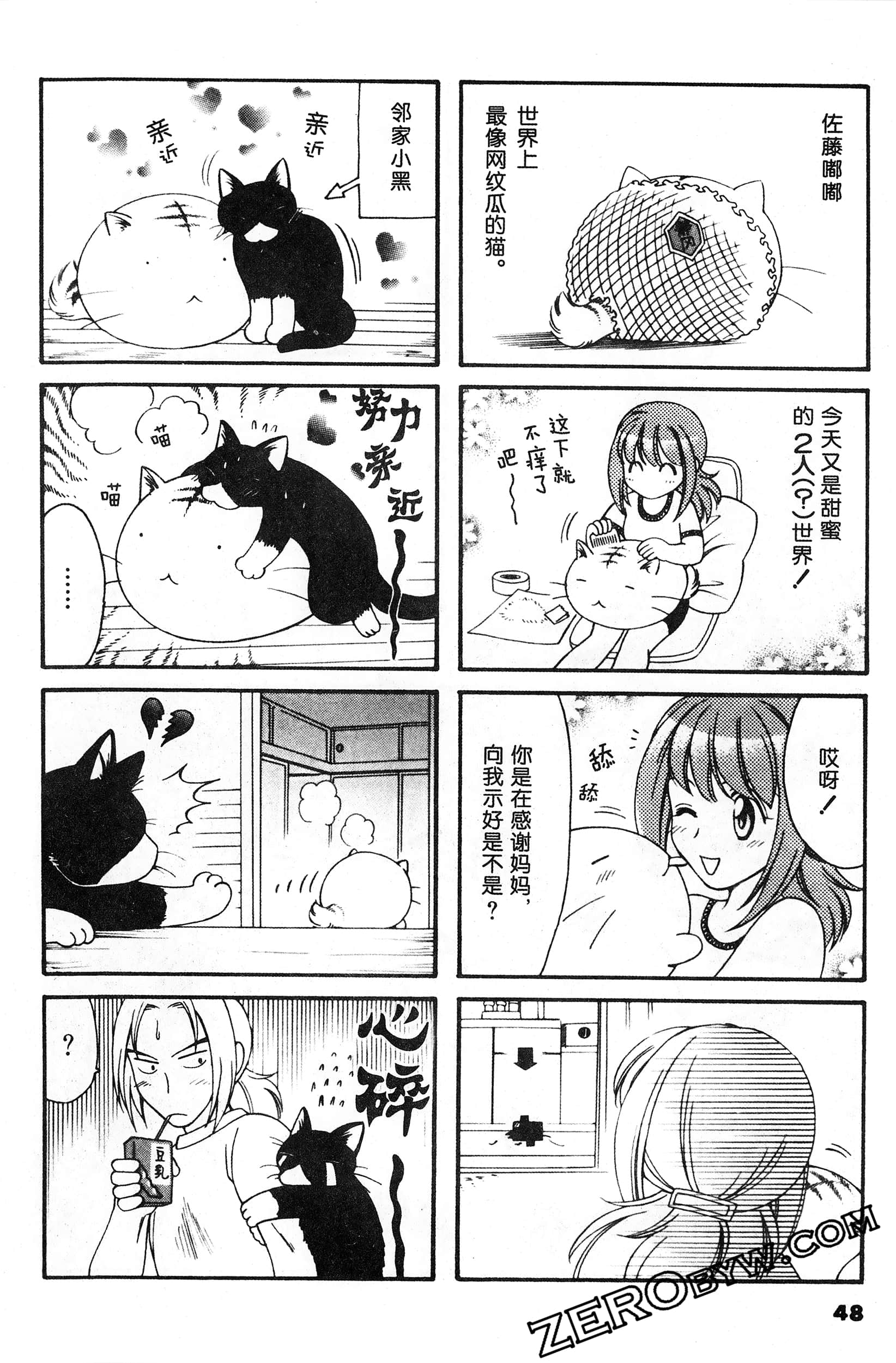 Page 49