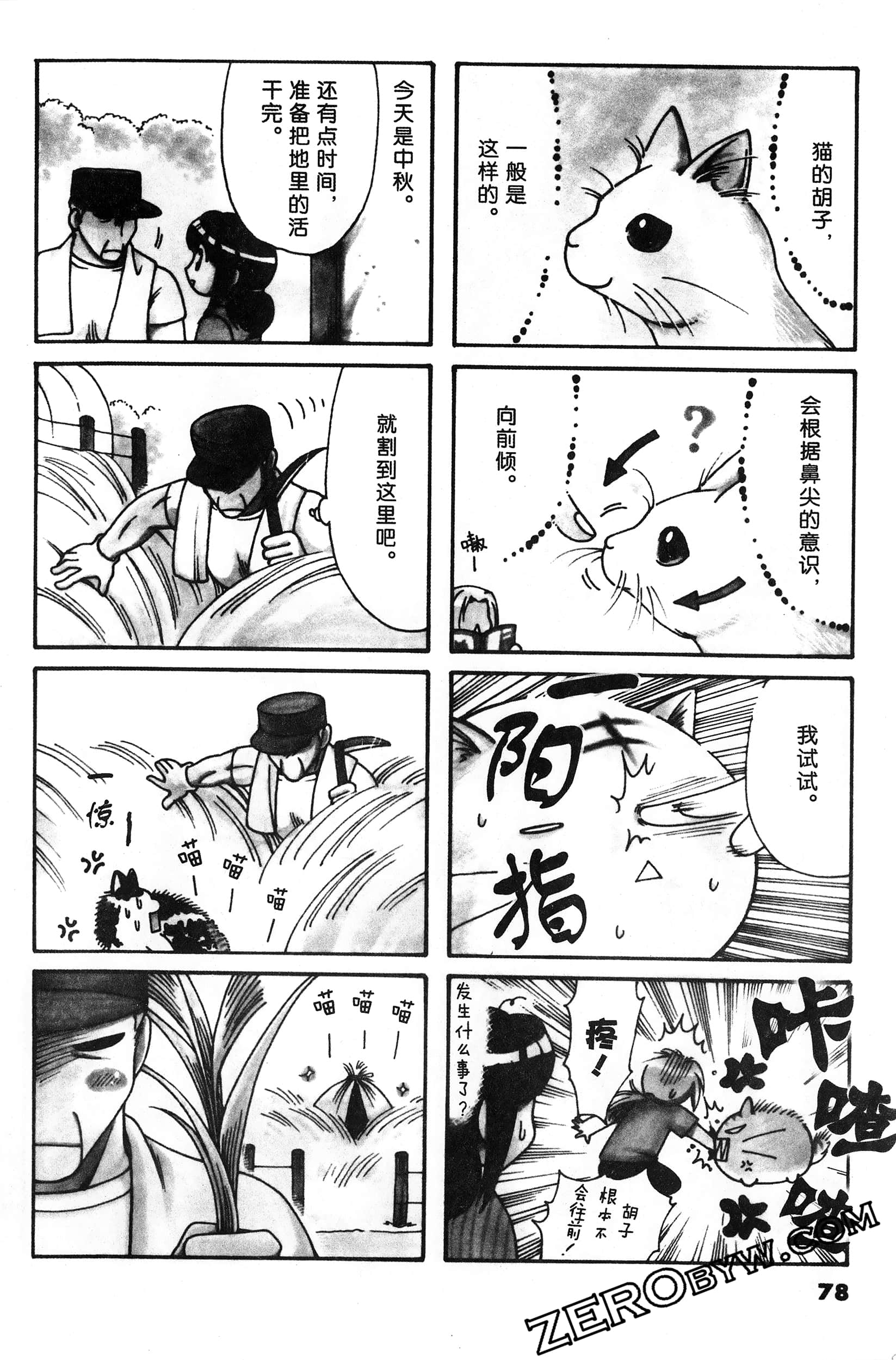 Page 79