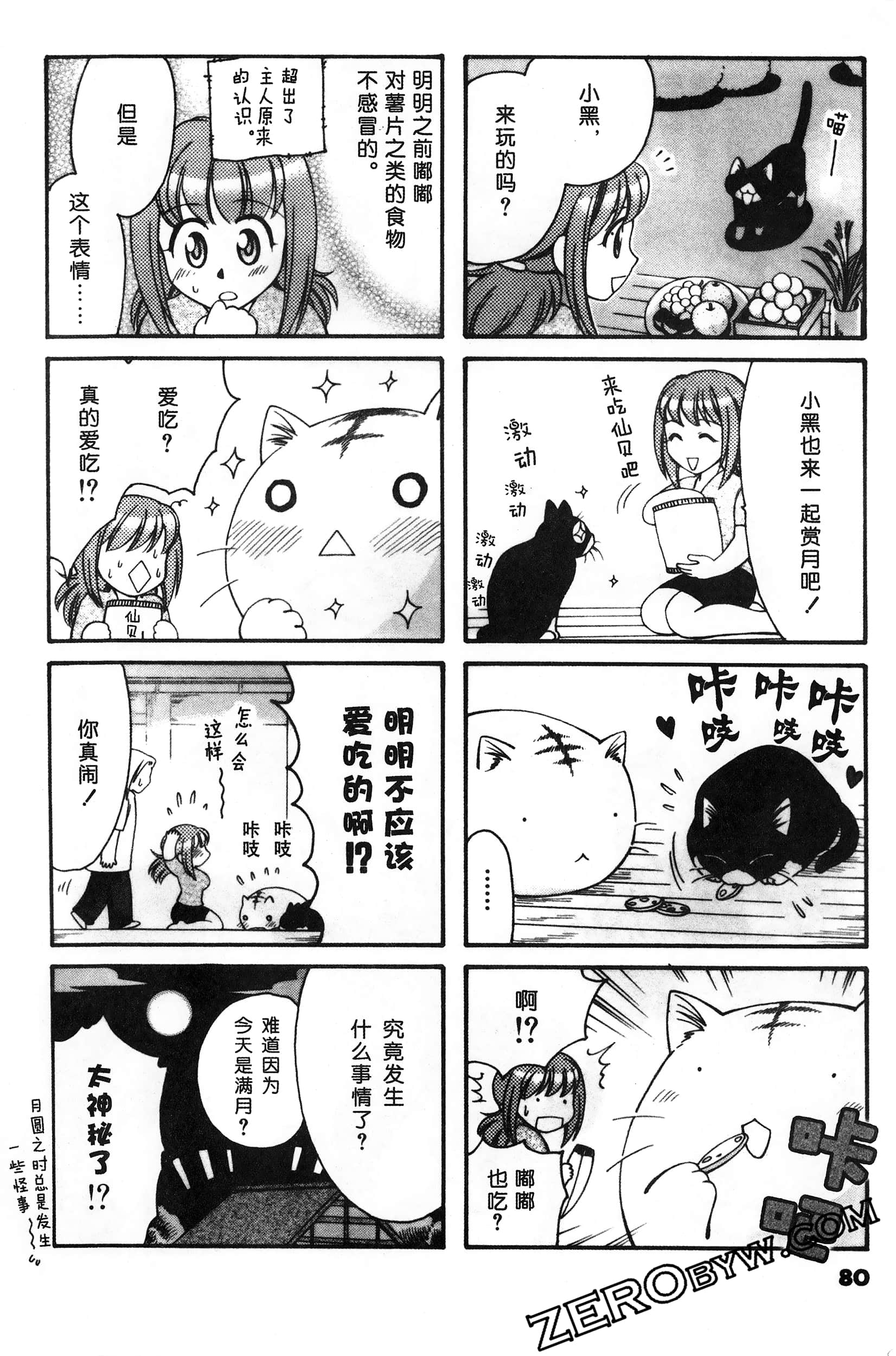 Page 81