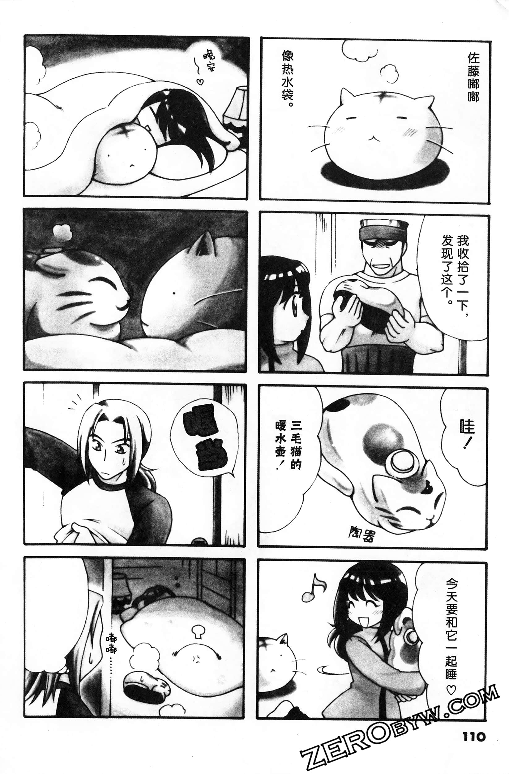 Page 111