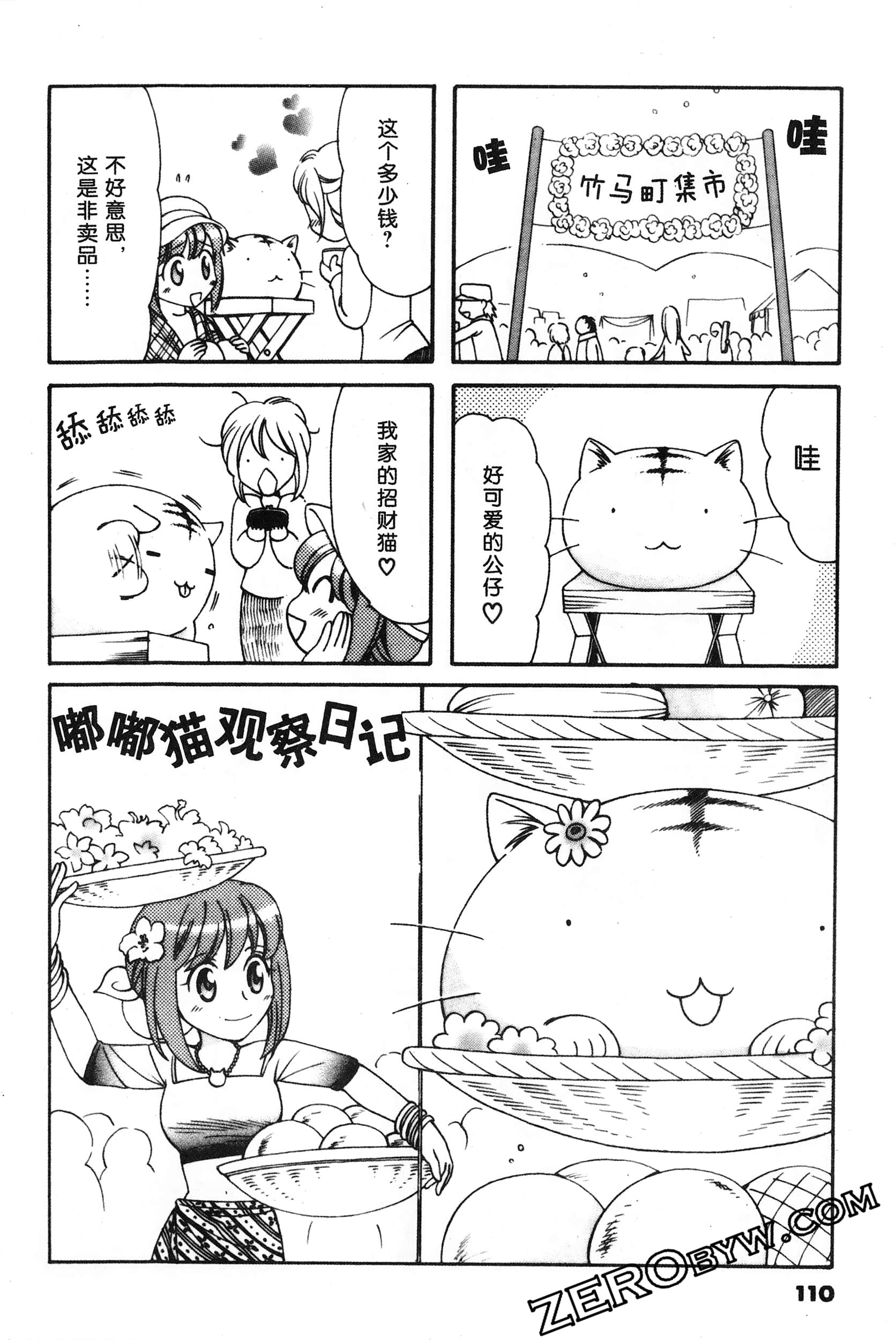 Page 111