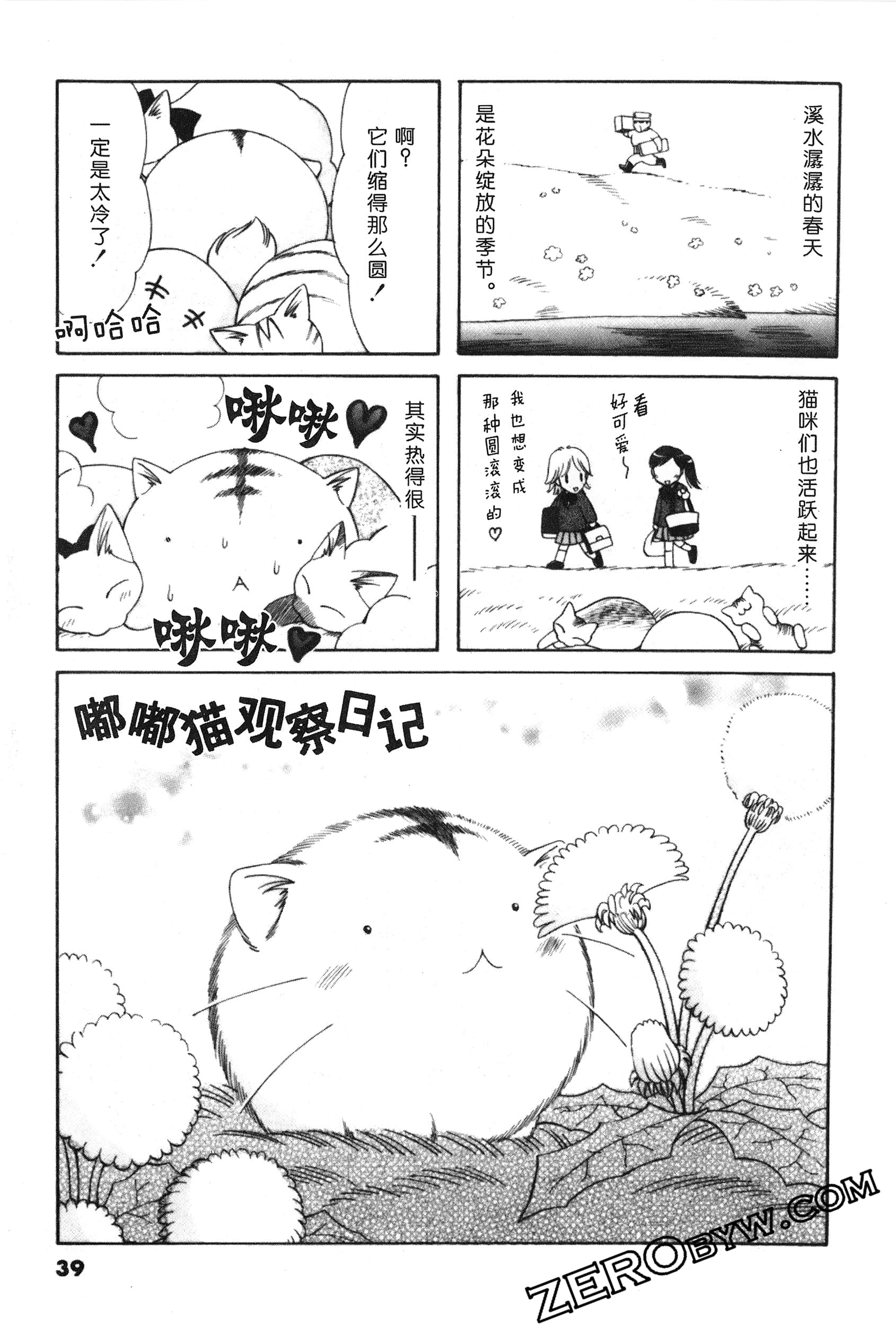 Page 40