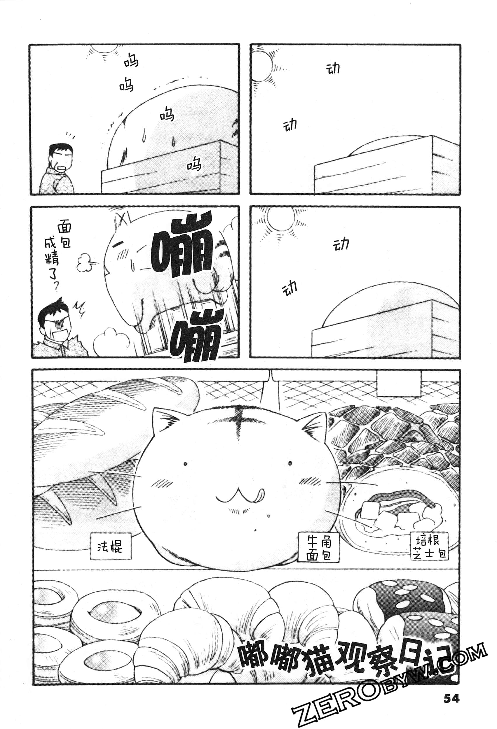 Page 55