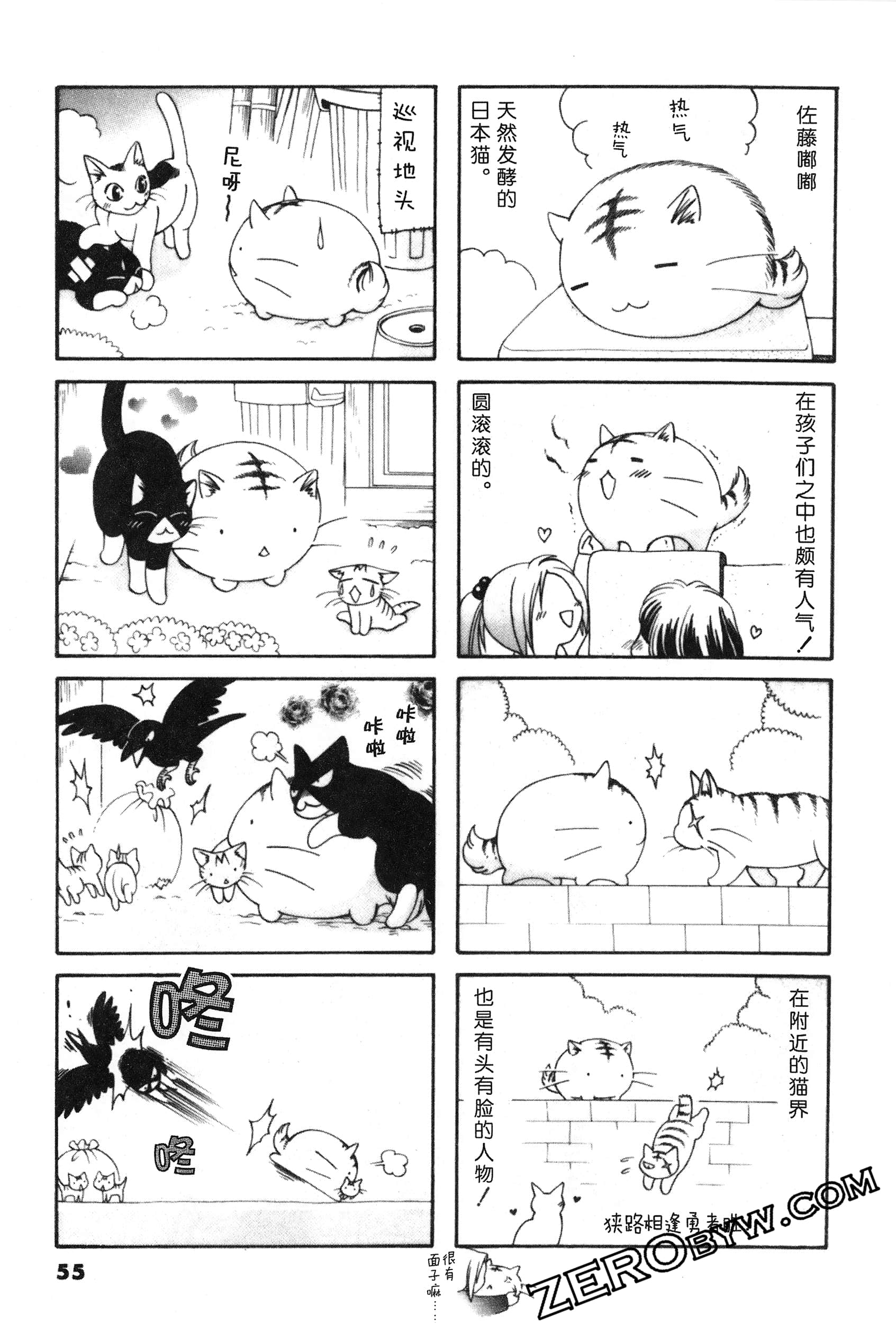 Page 56