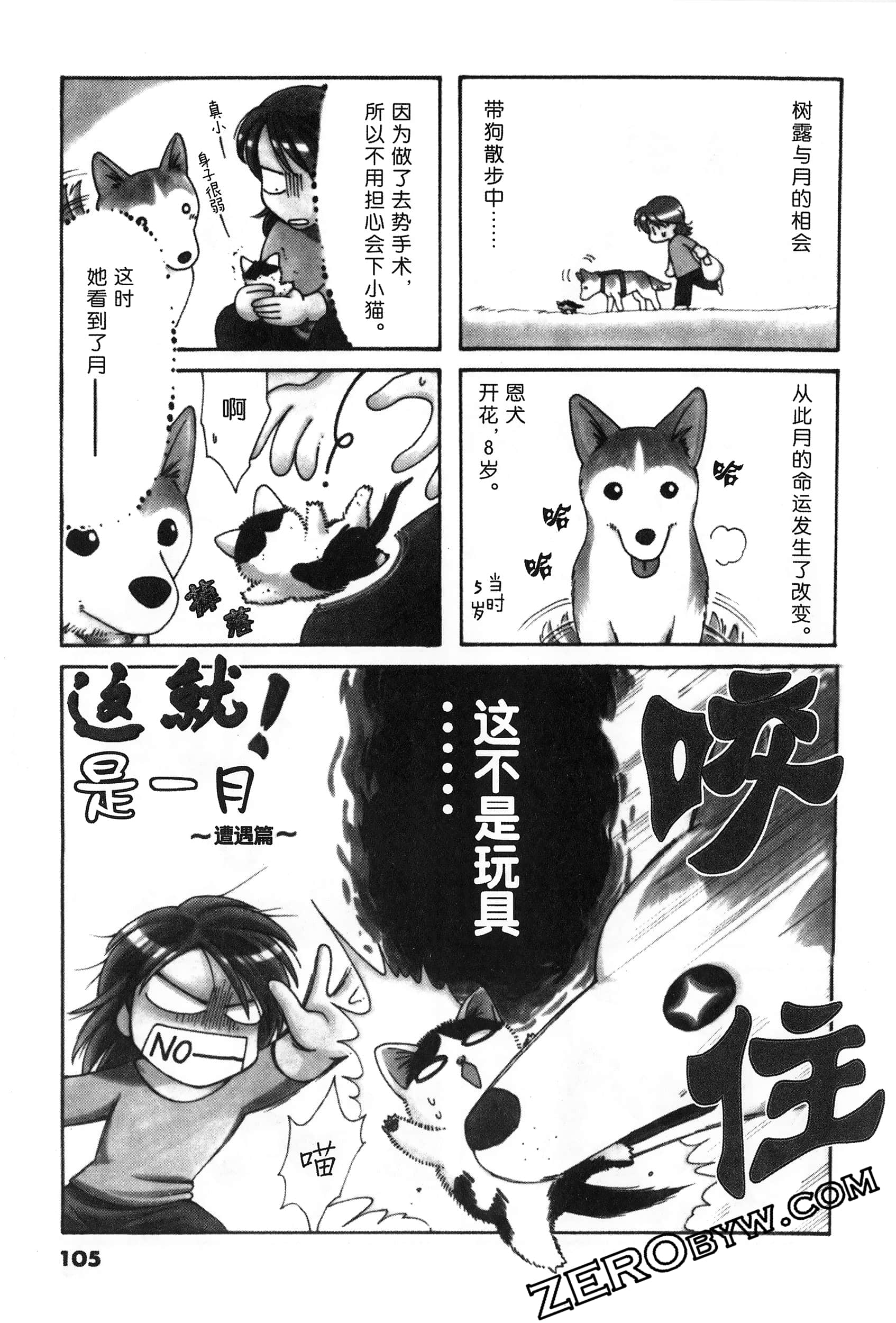Page 106