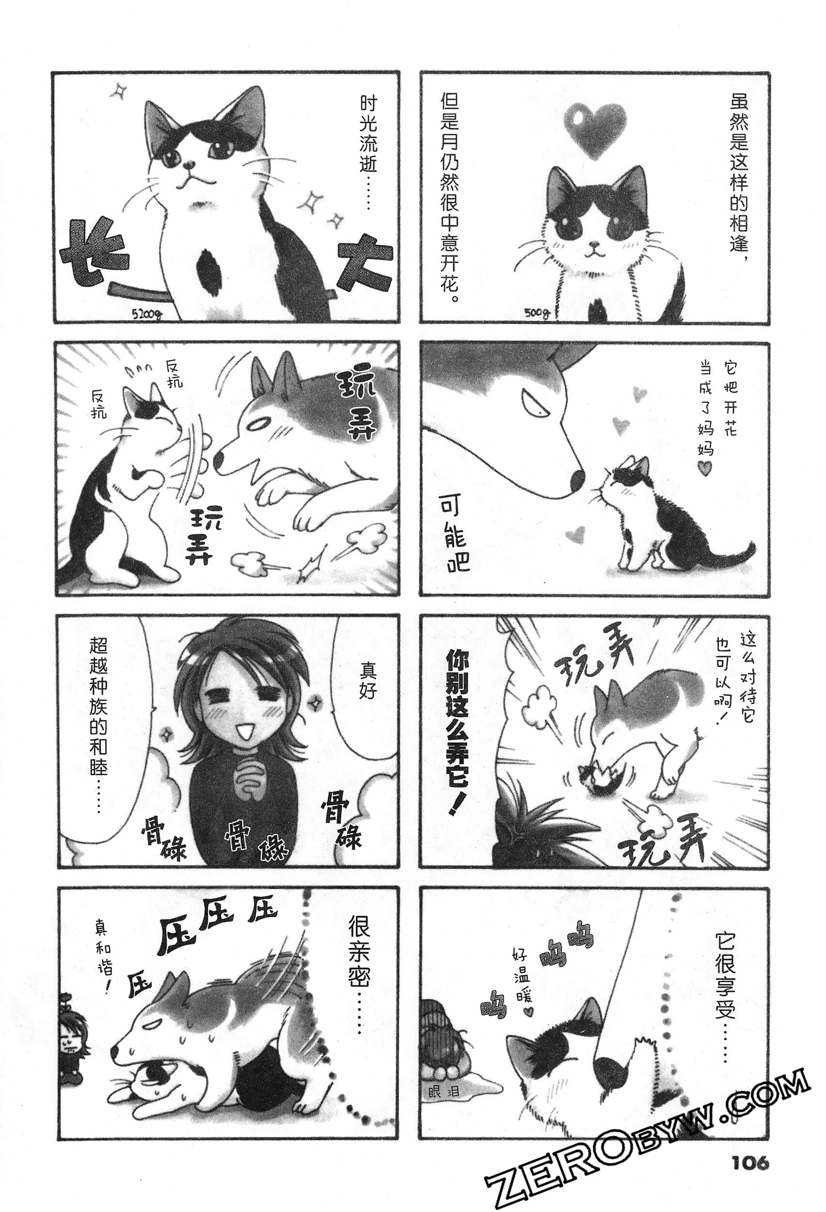 Page 107