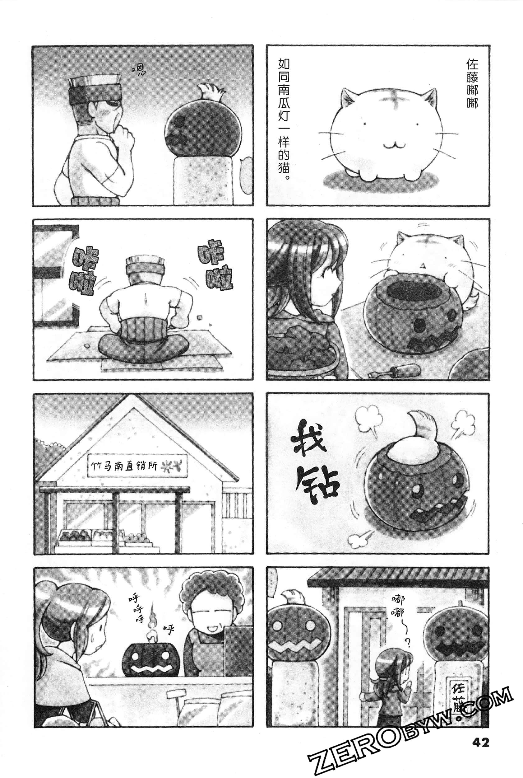 Page 43