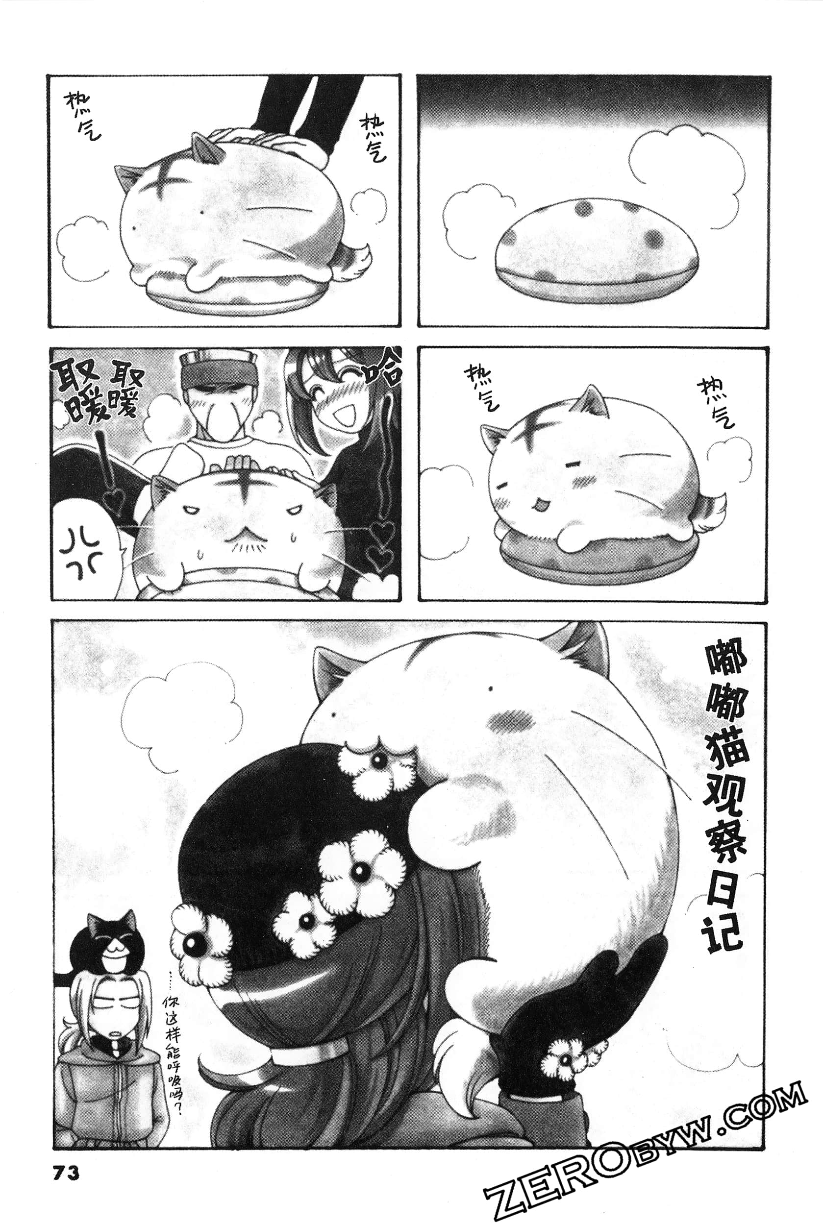 Page 74