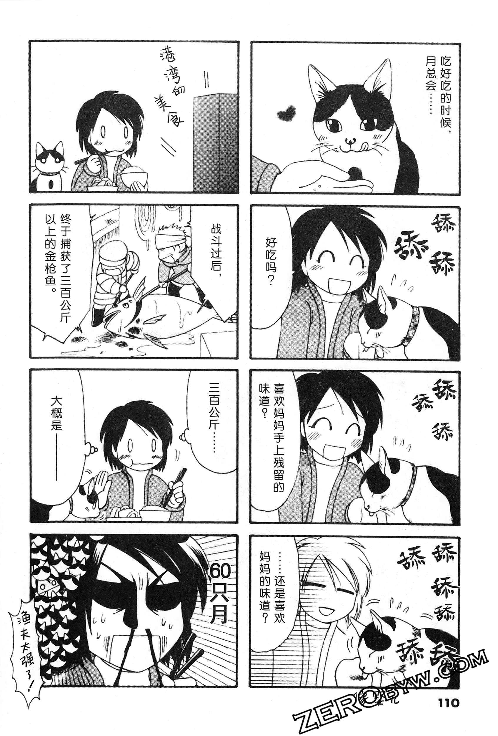 Page 111