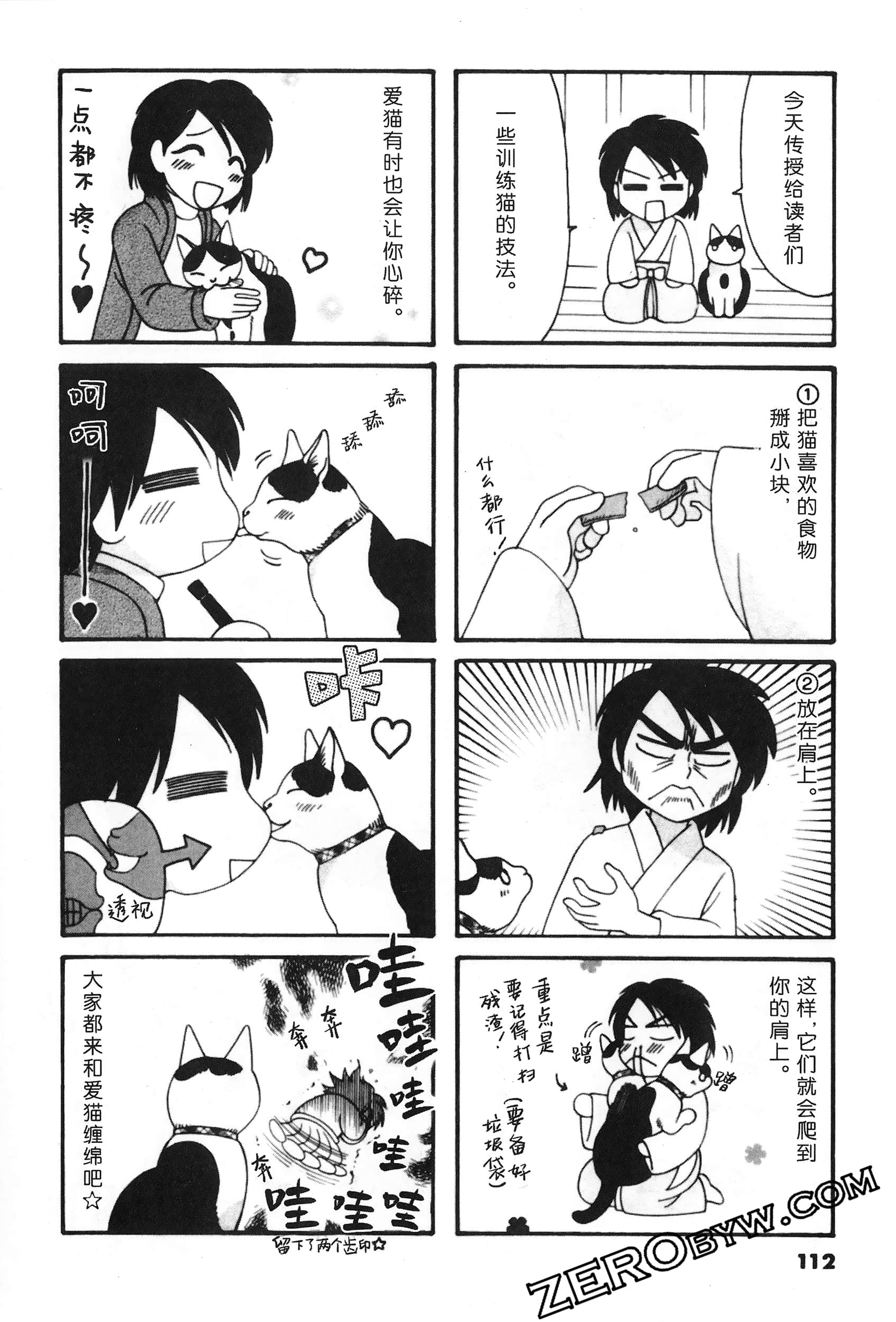 Page 113