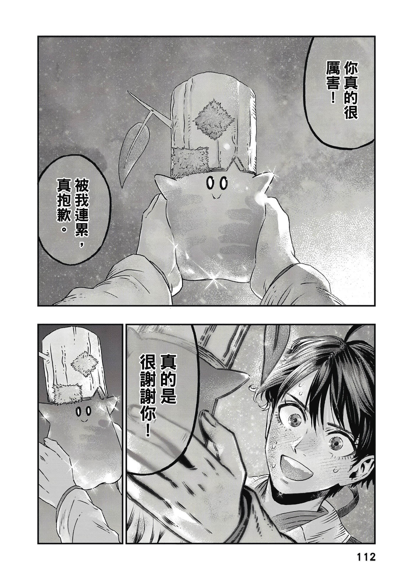 Page 113