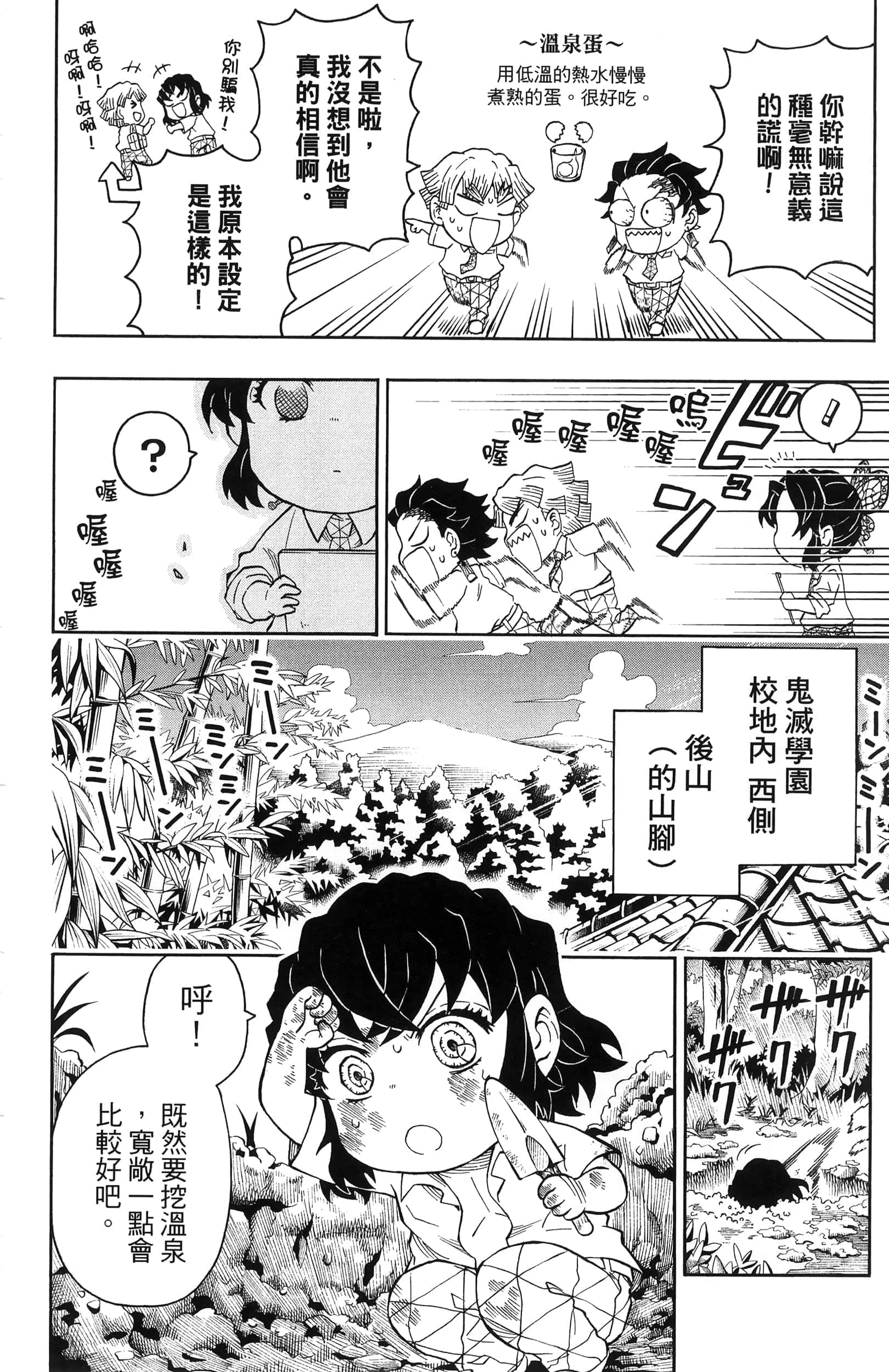 第 48 页
