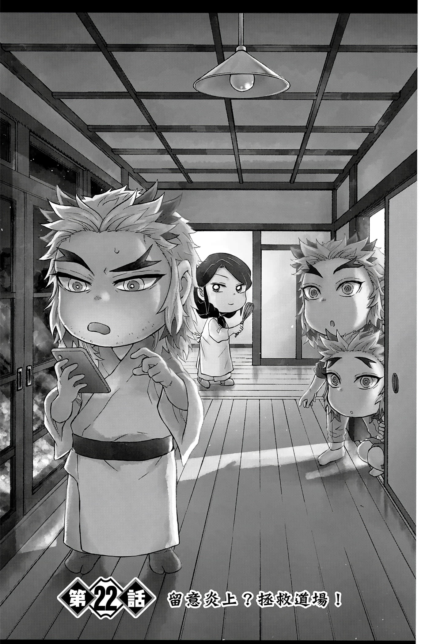 第 38 页