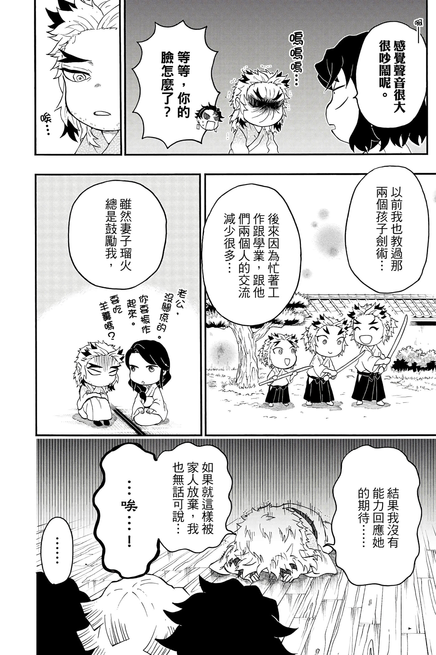 第 51 页
