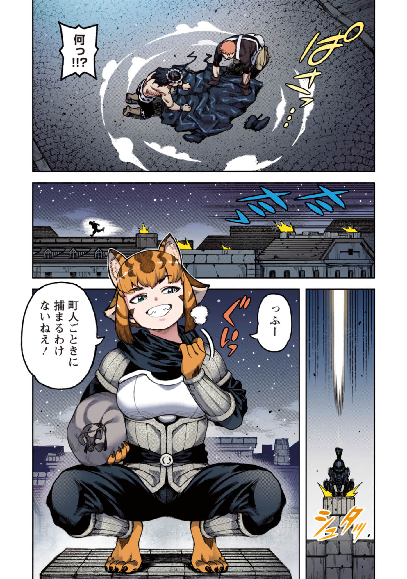 第 41 页