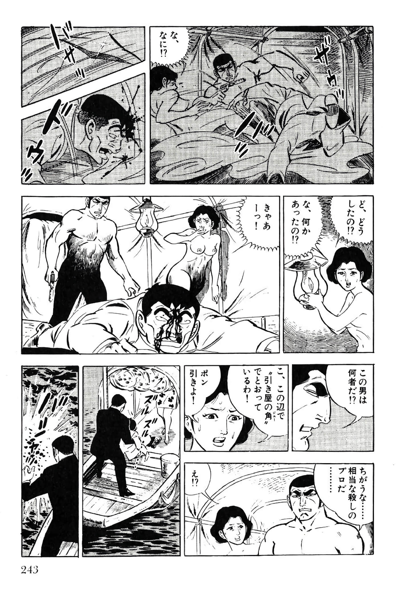 Page 243