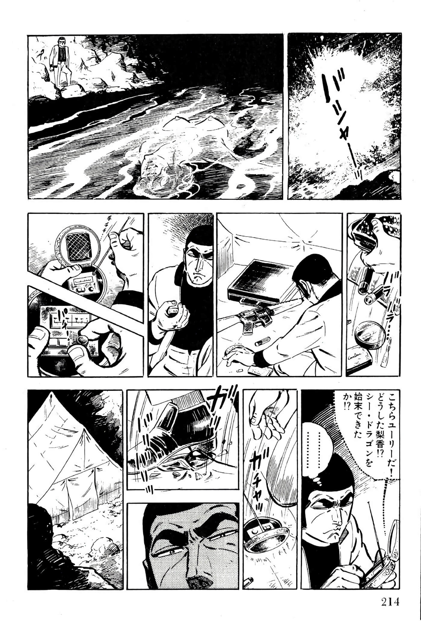 Page 216