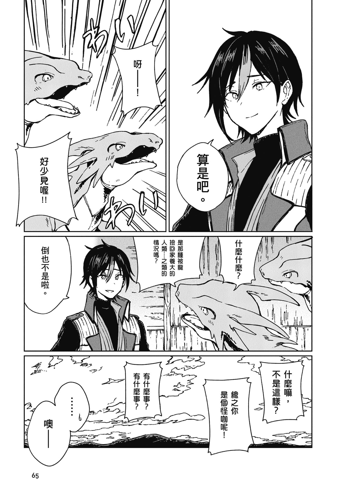 第 66 页