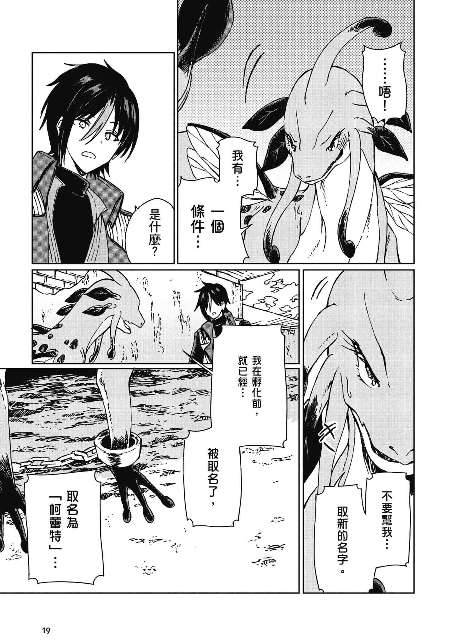 第 20 页