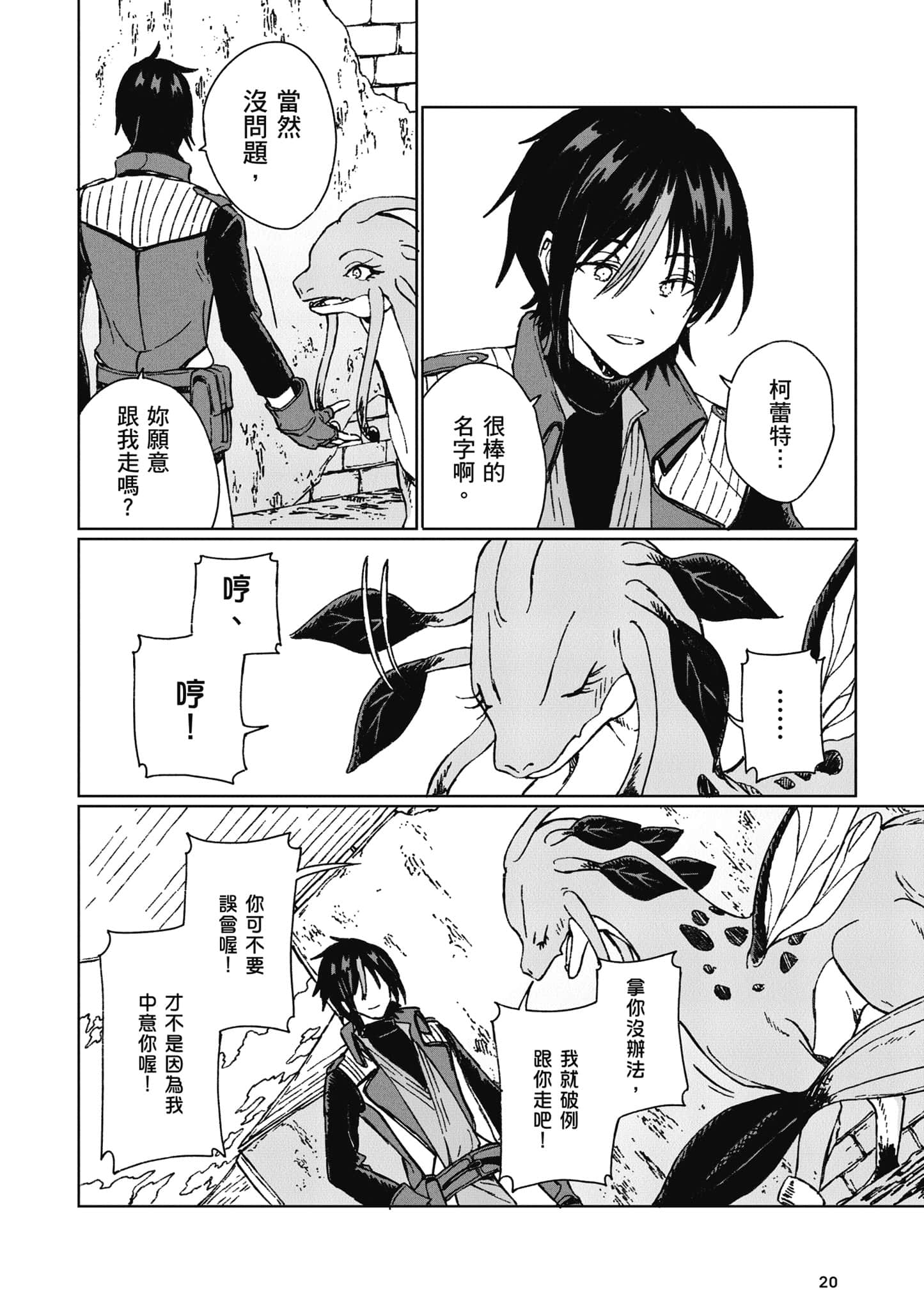 第 21 页
