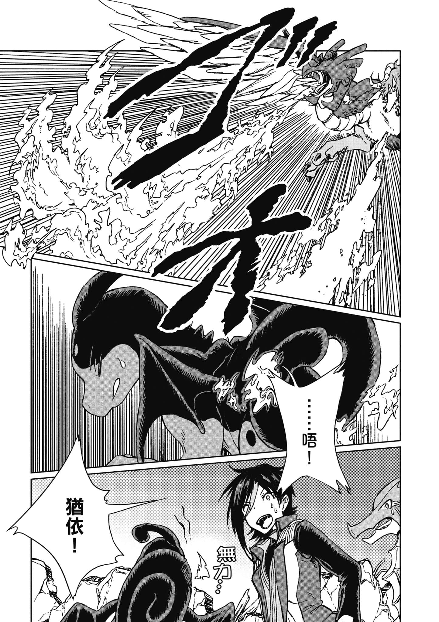 第 106 页