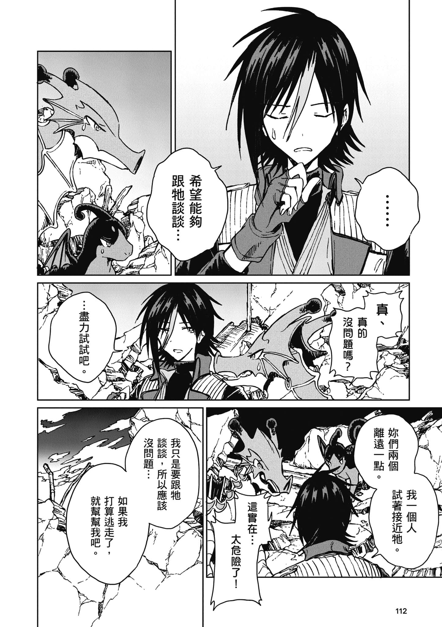 第 113 页