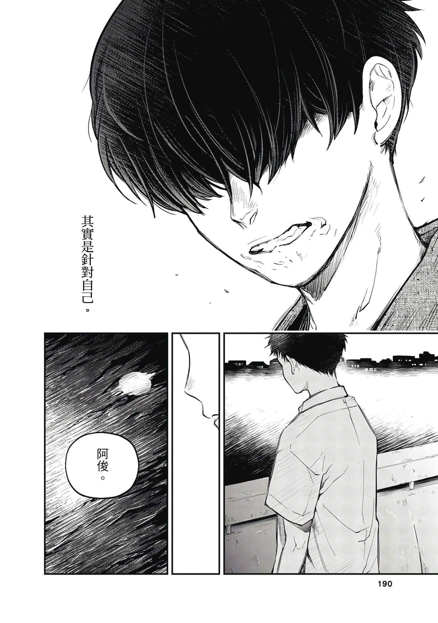 第 191 页