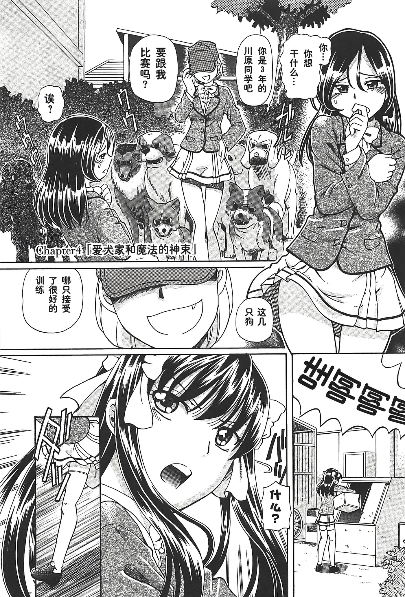 第 113 页