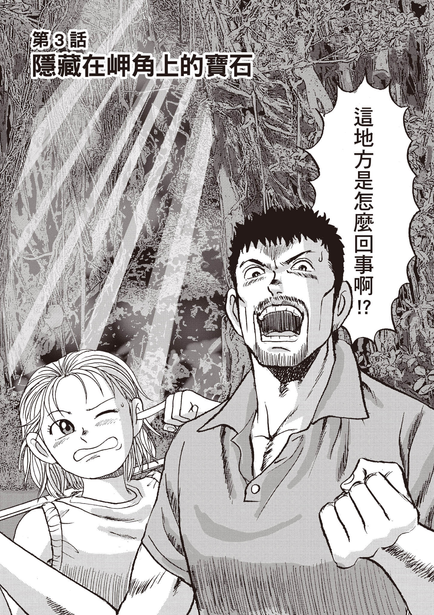 第 52 页