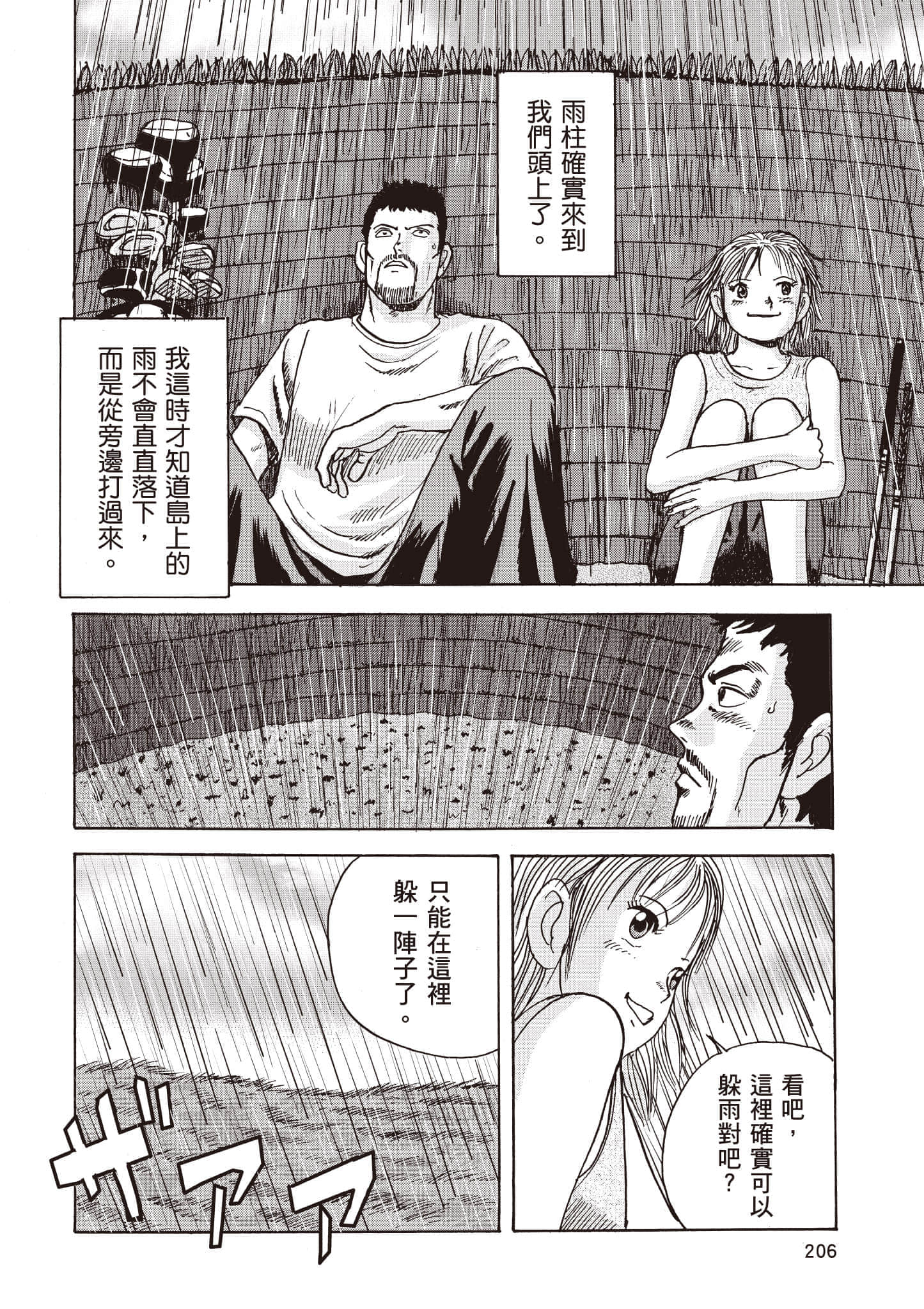 第 207 页