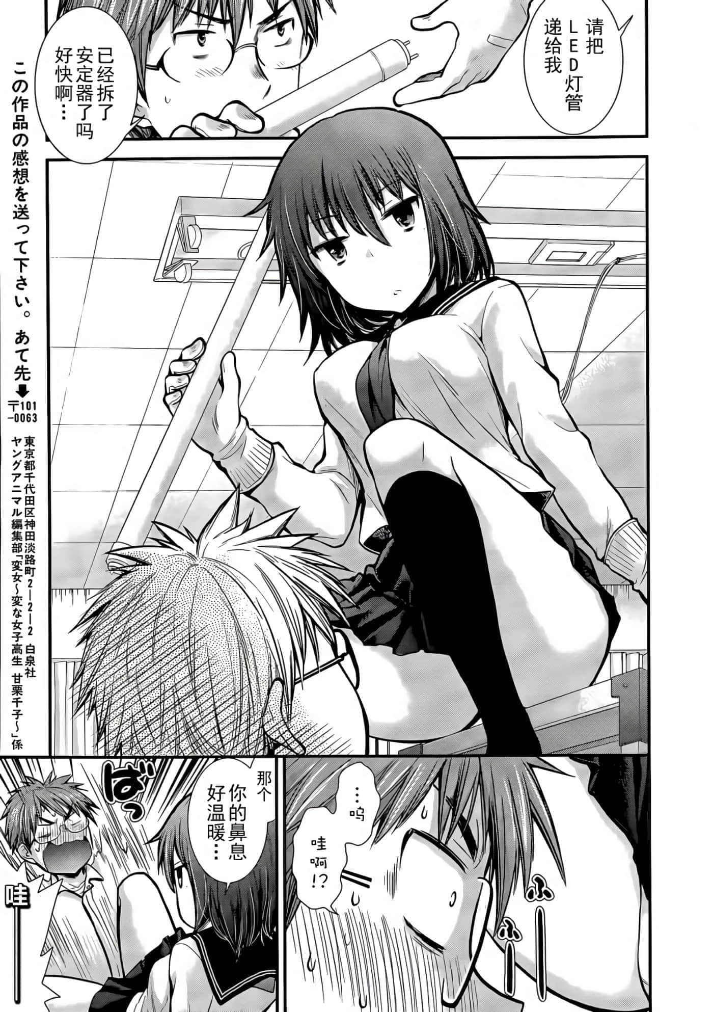 第 12 页