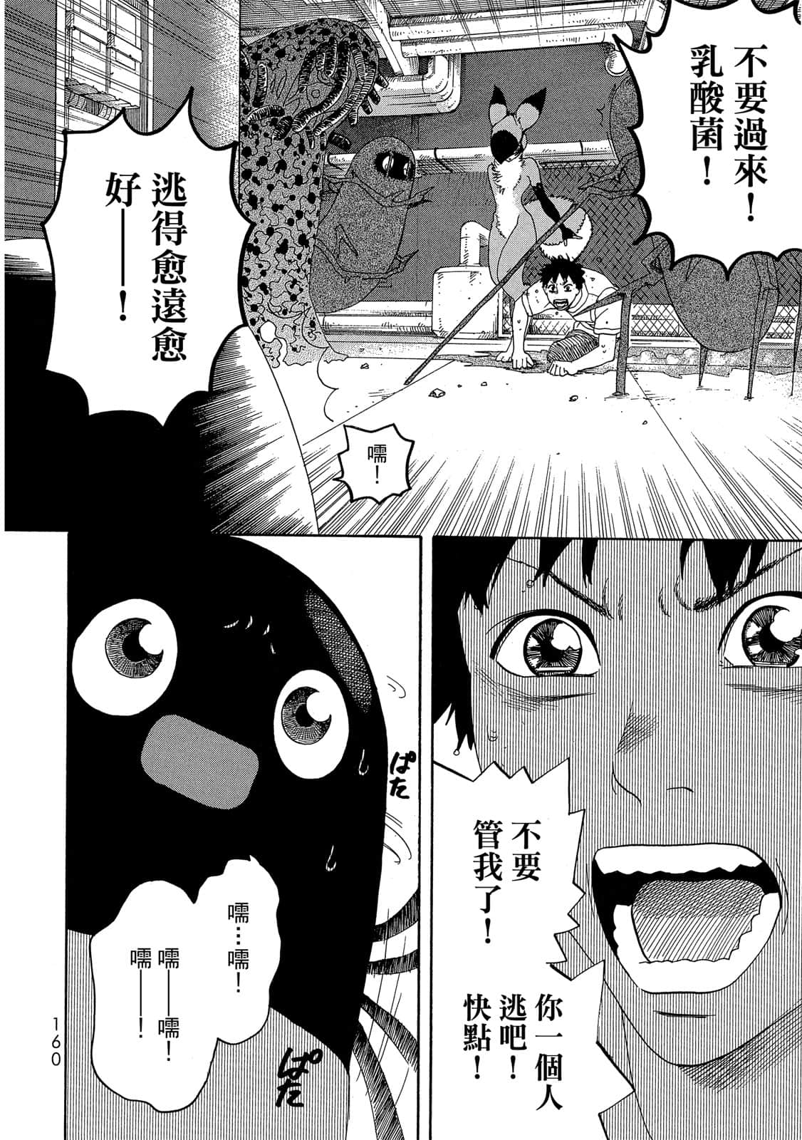 Page 161