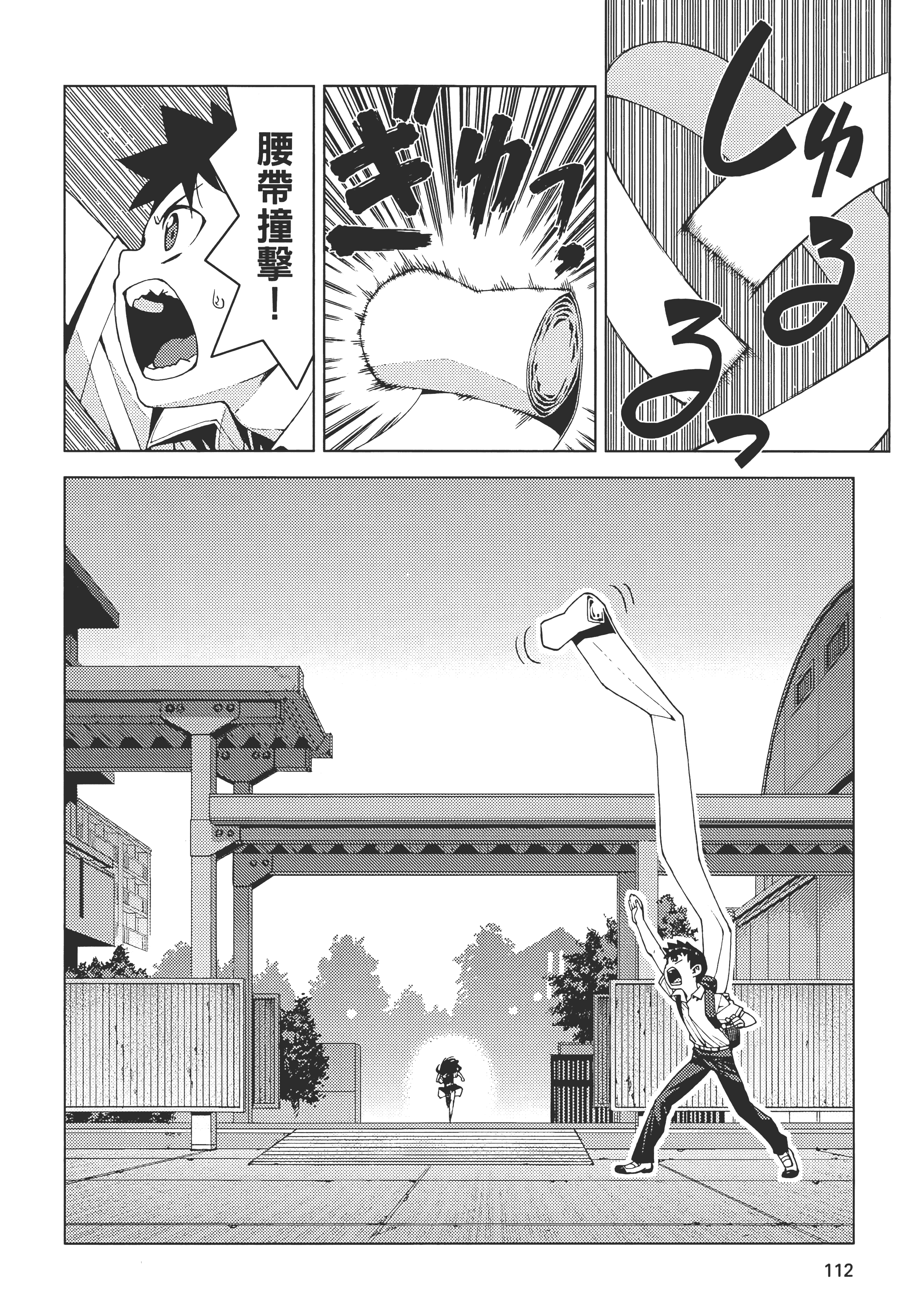 Page 116