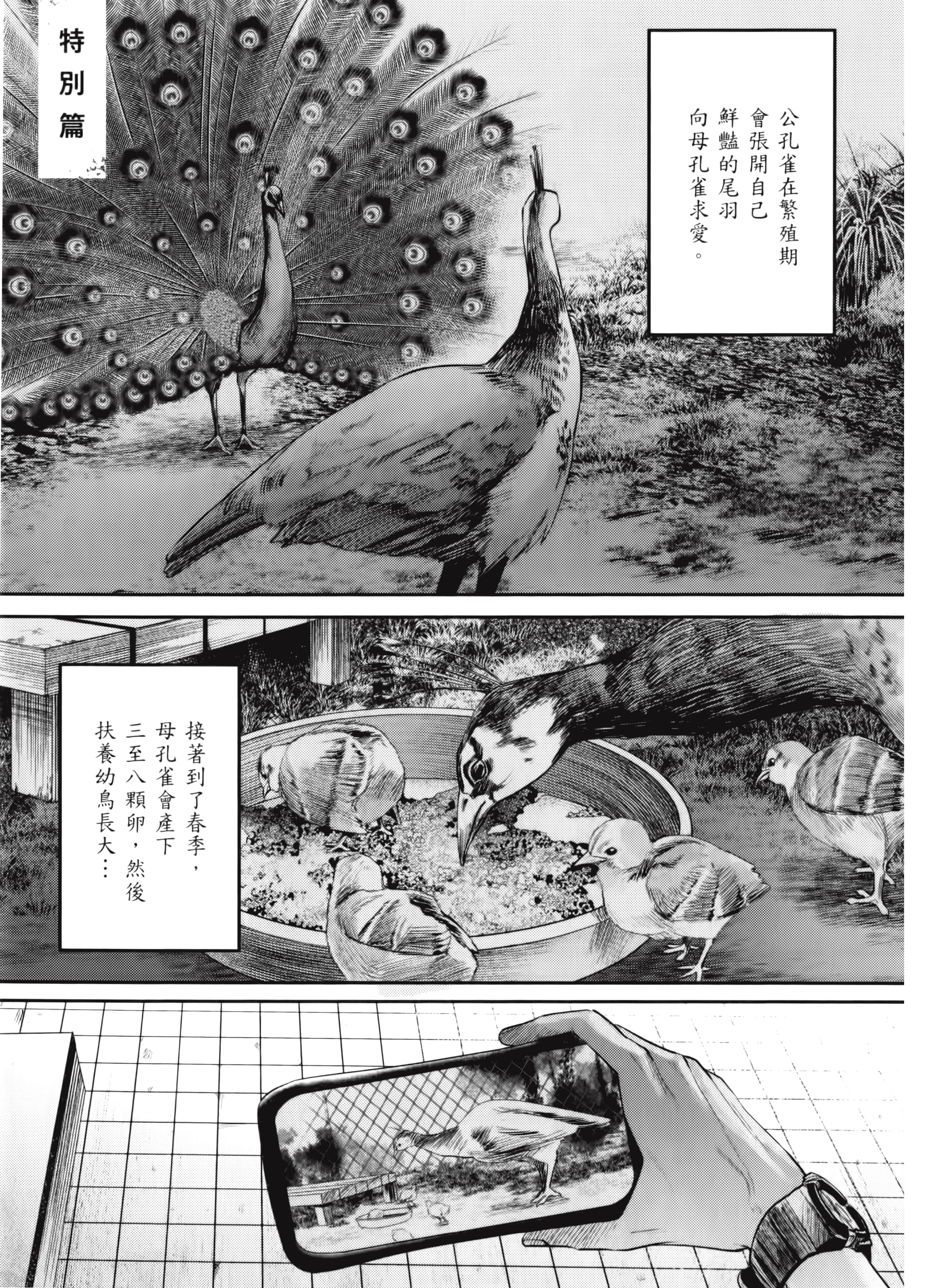 Page 177