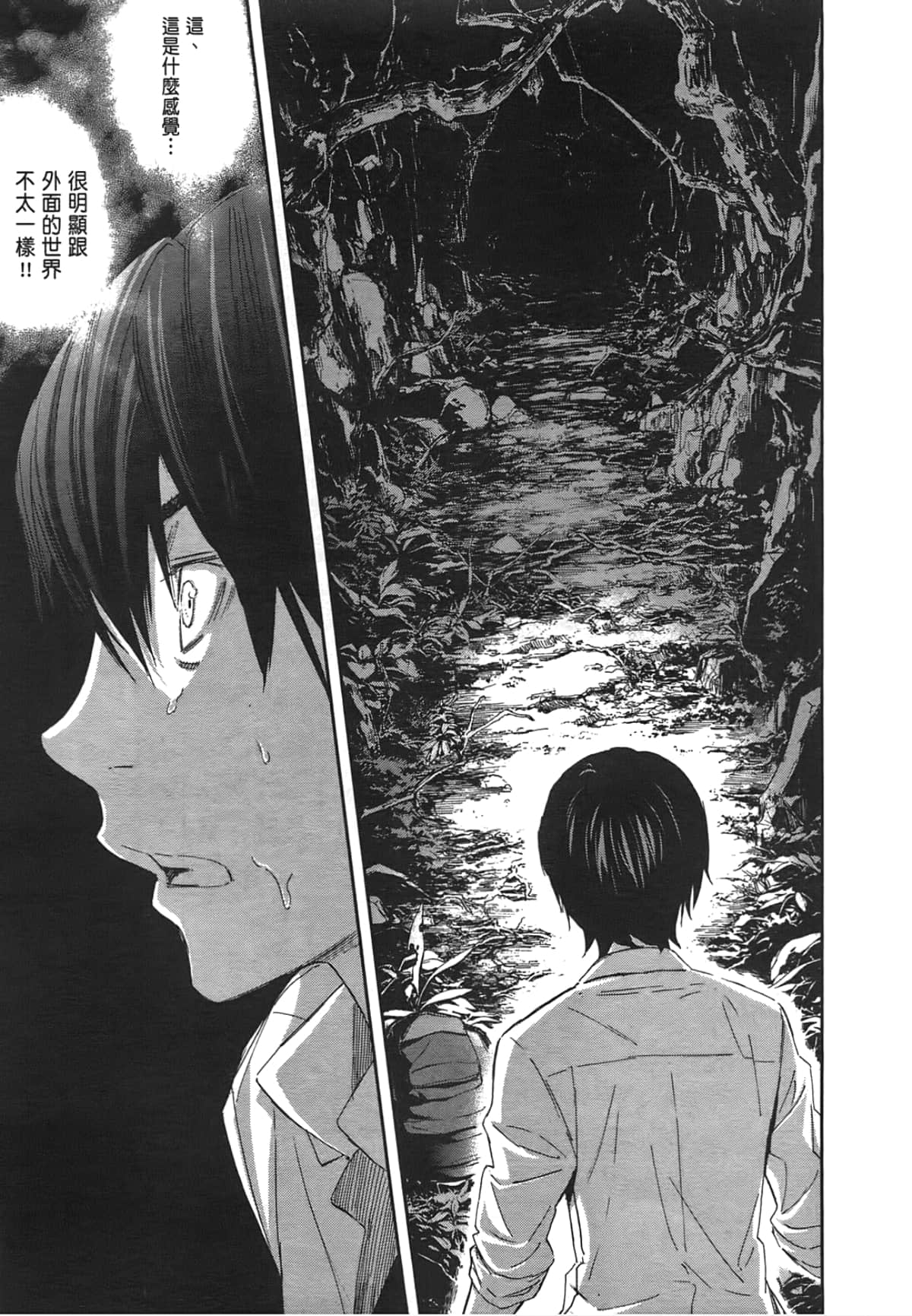 Page 117