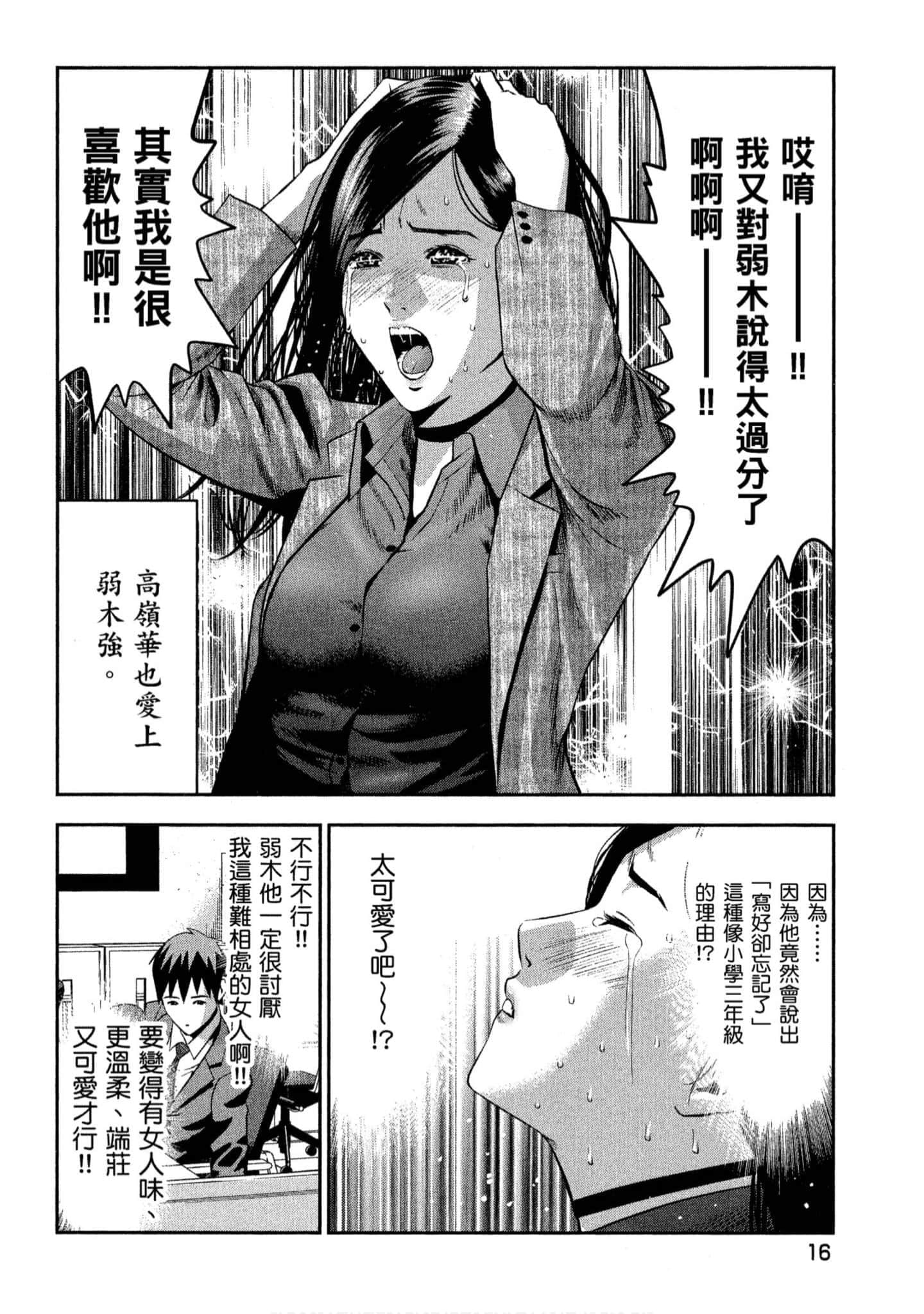 第 17 页