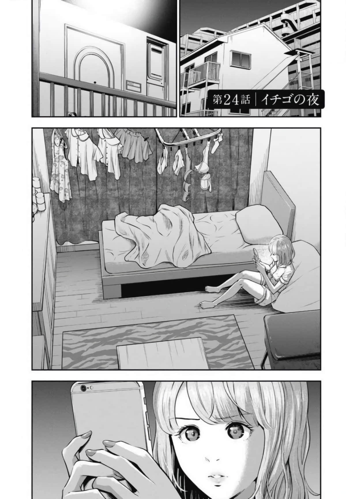 第 24 页