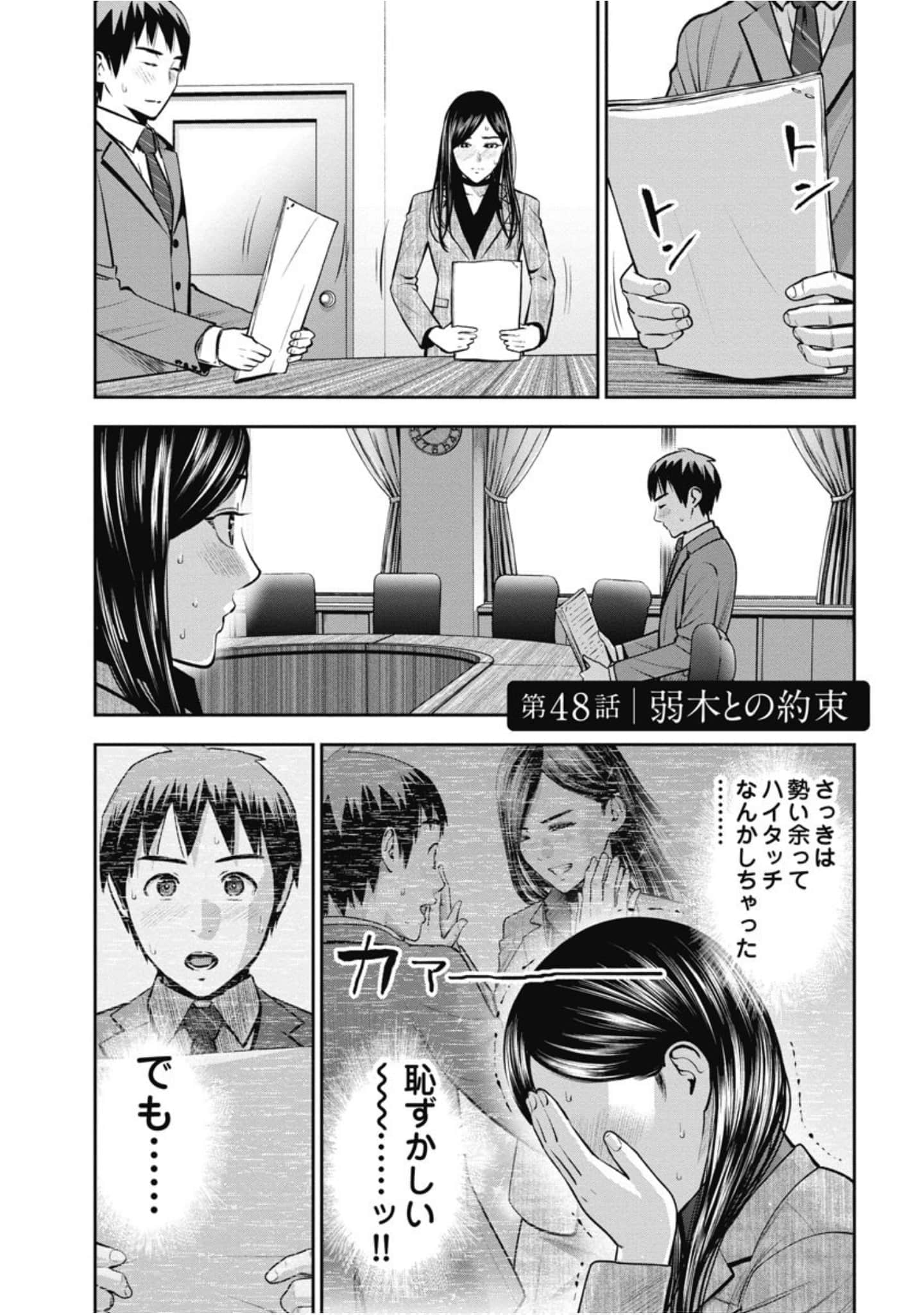 第 46 页