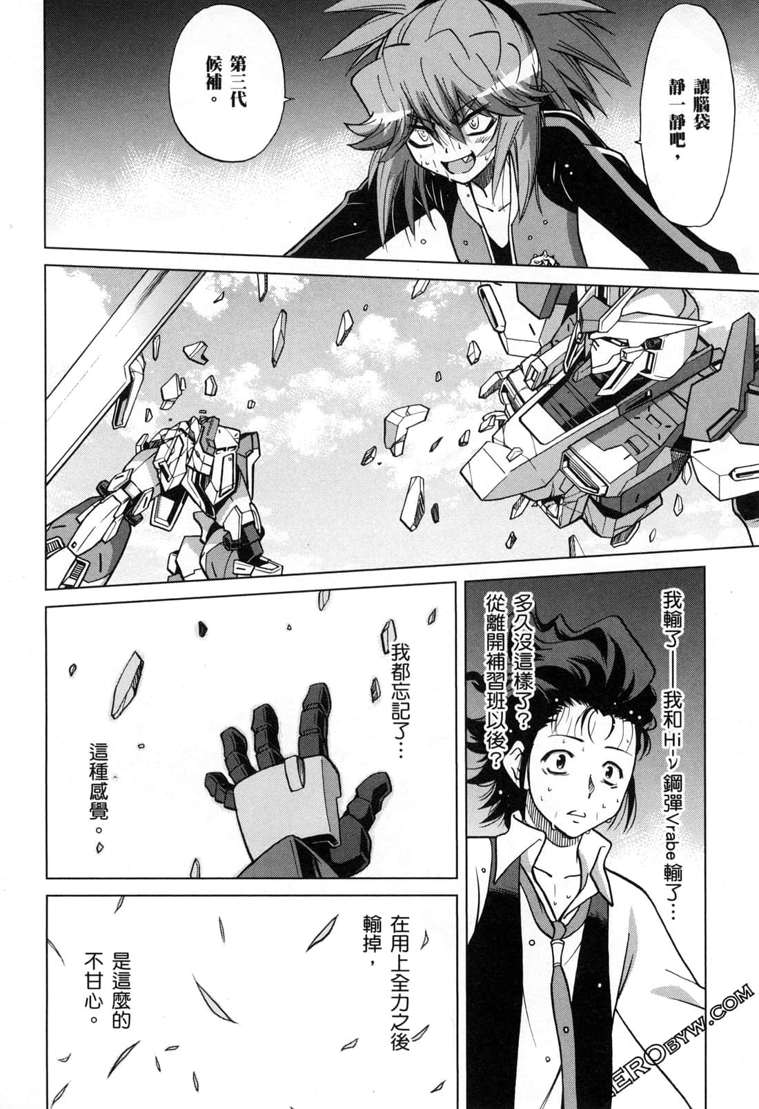 Page 113