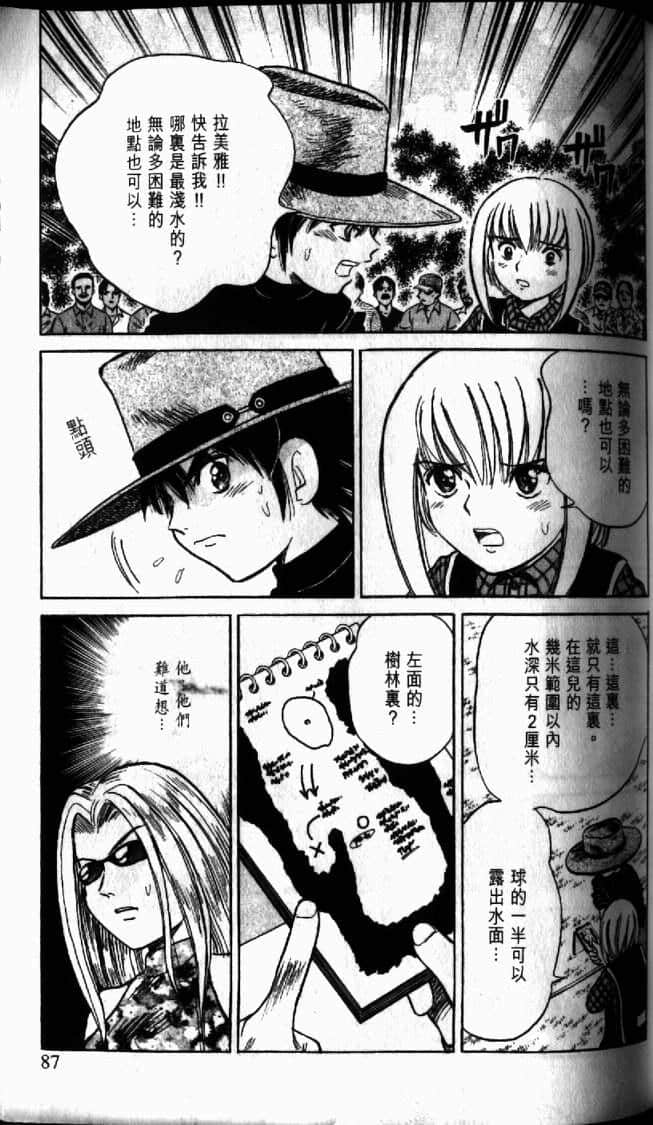 Page 87