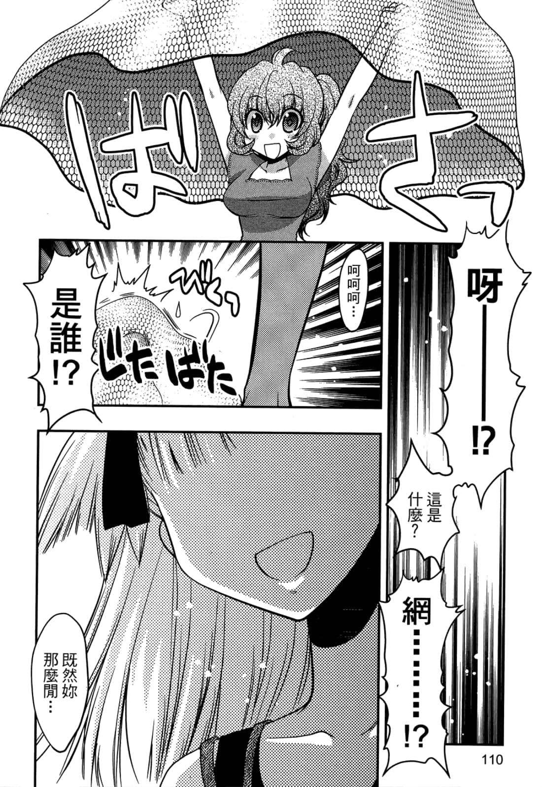 第 110 页