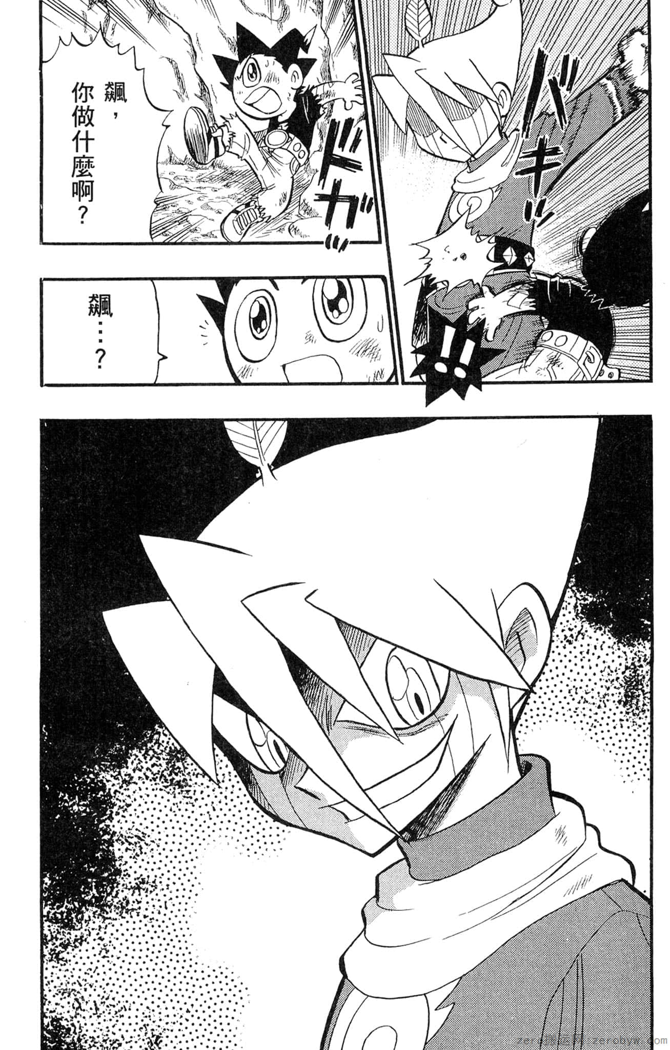 Page 113
