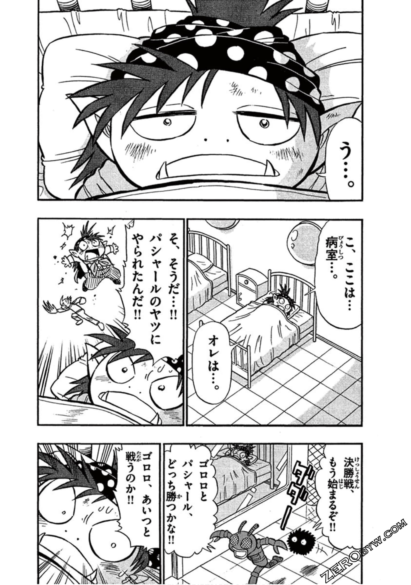 Page 43